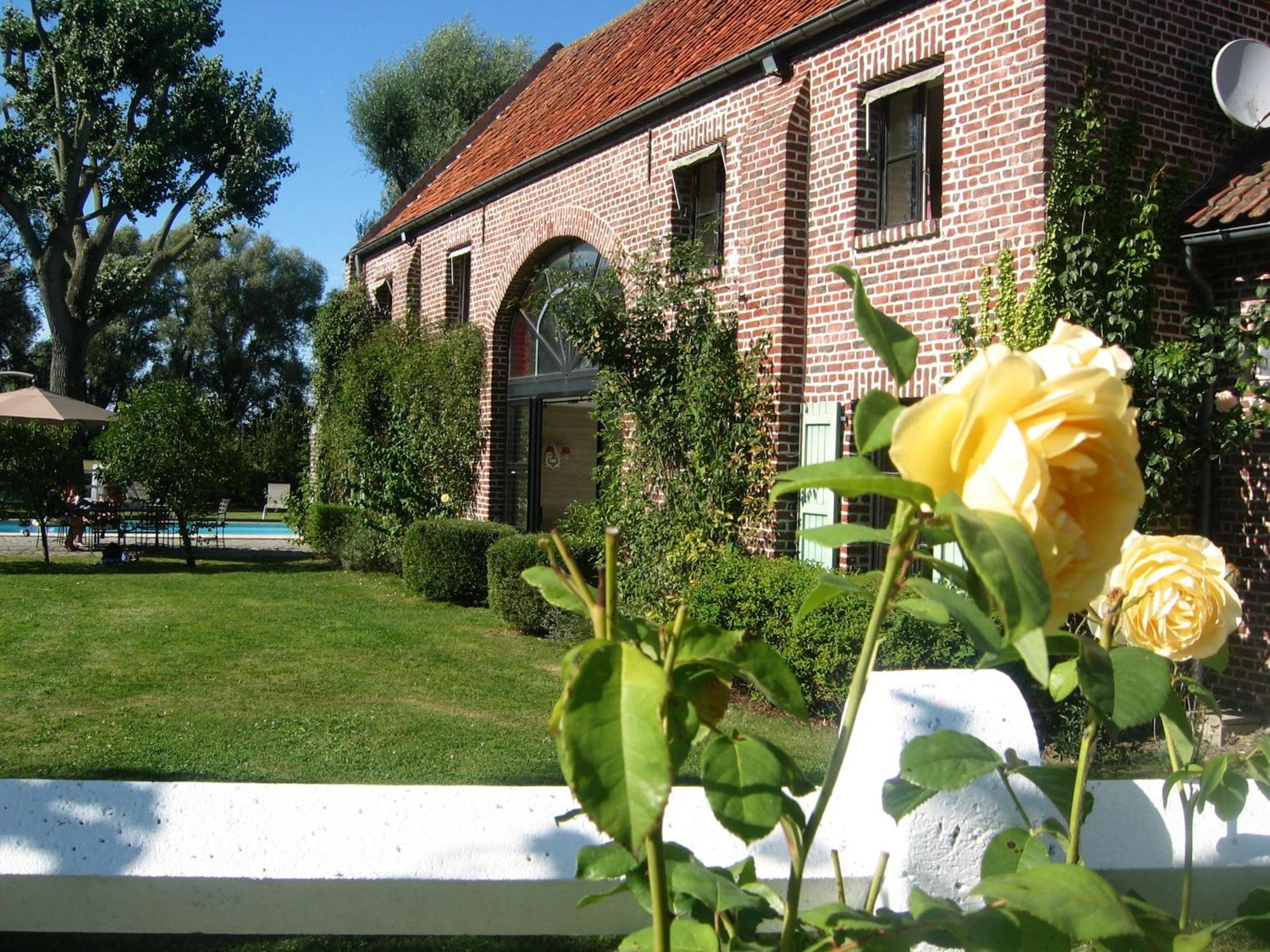 Photo 16