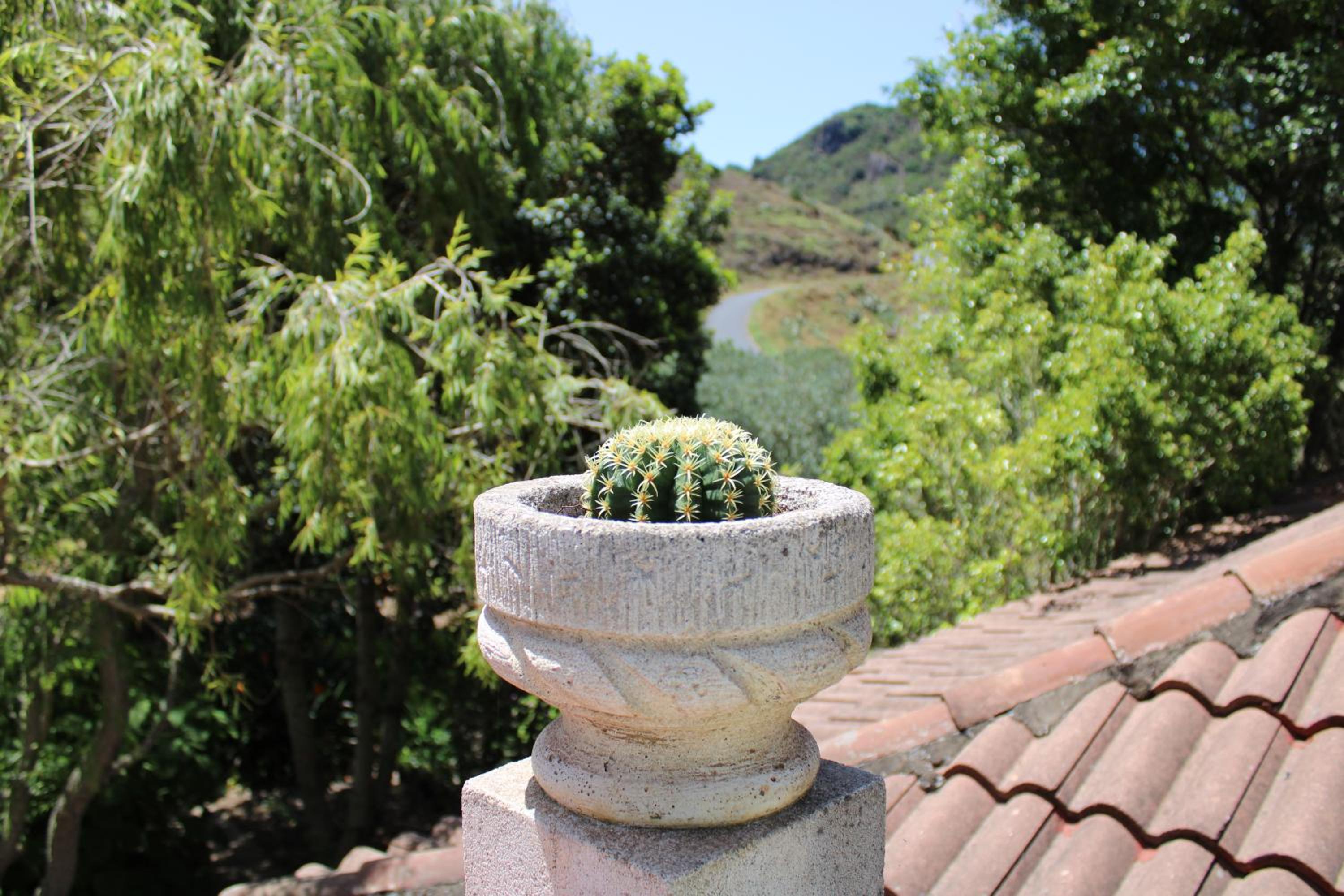 VILLA LA CAPIROTA