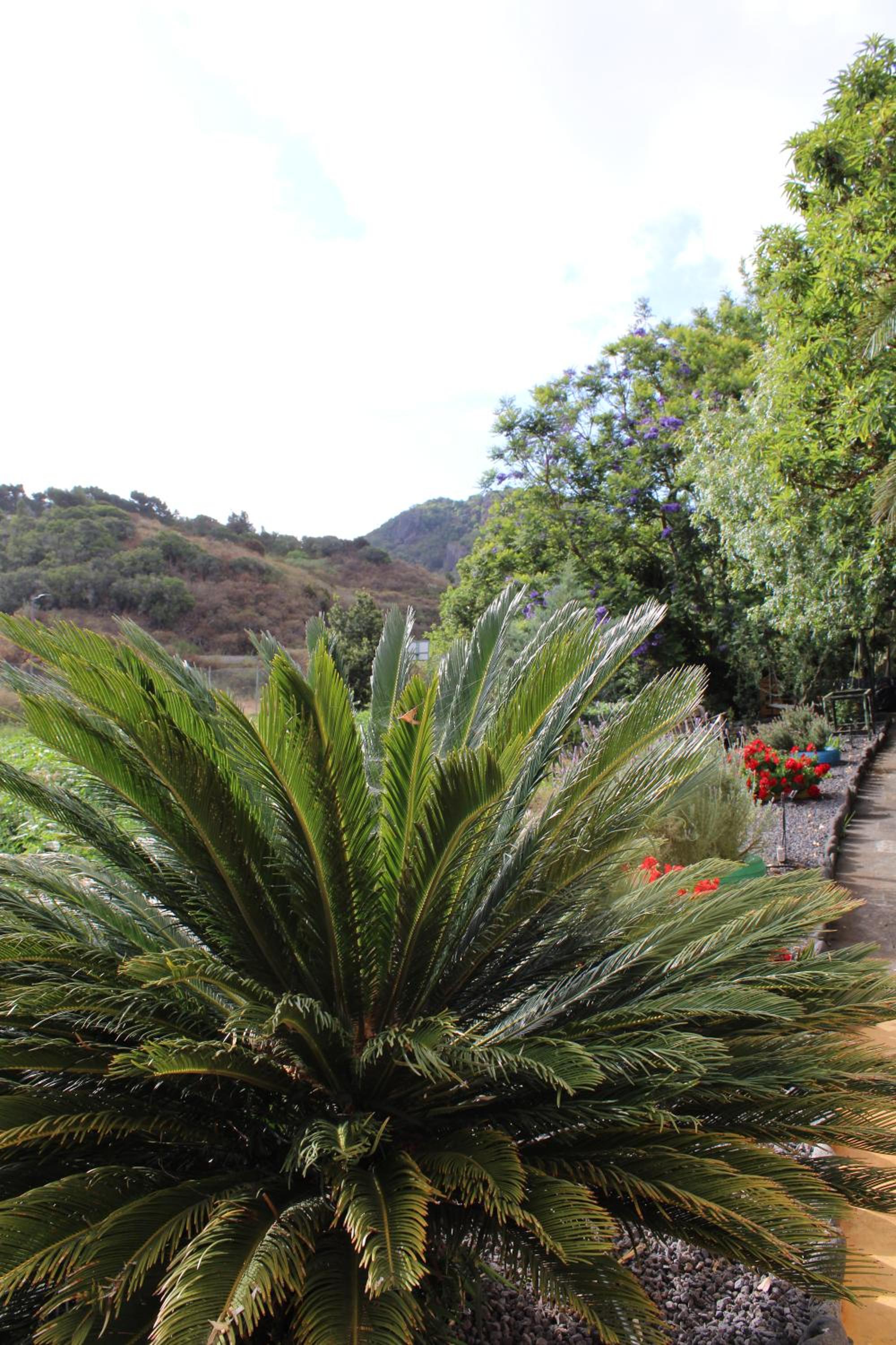 VILLA LA CAPIROTA