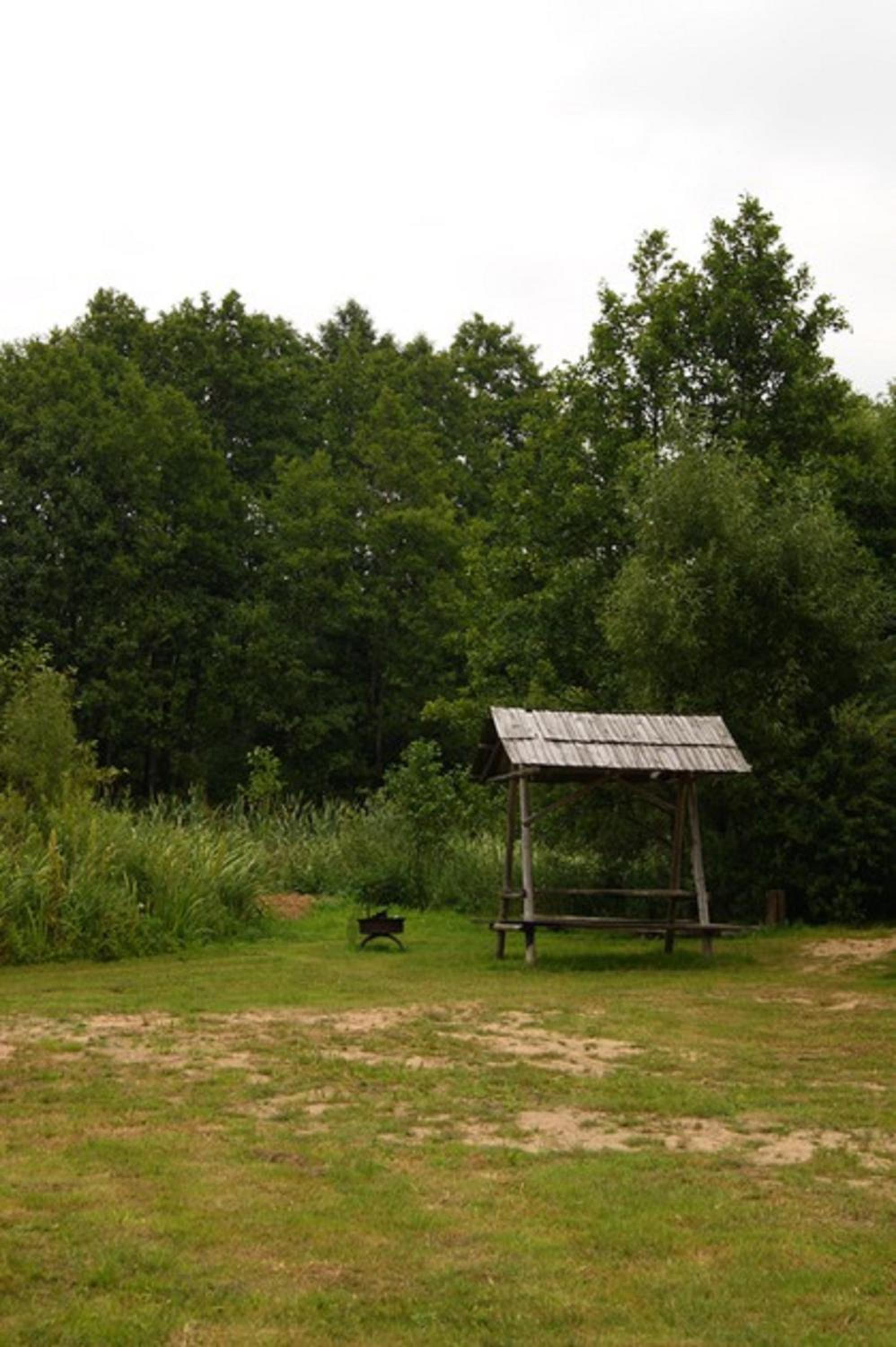 Photo 51