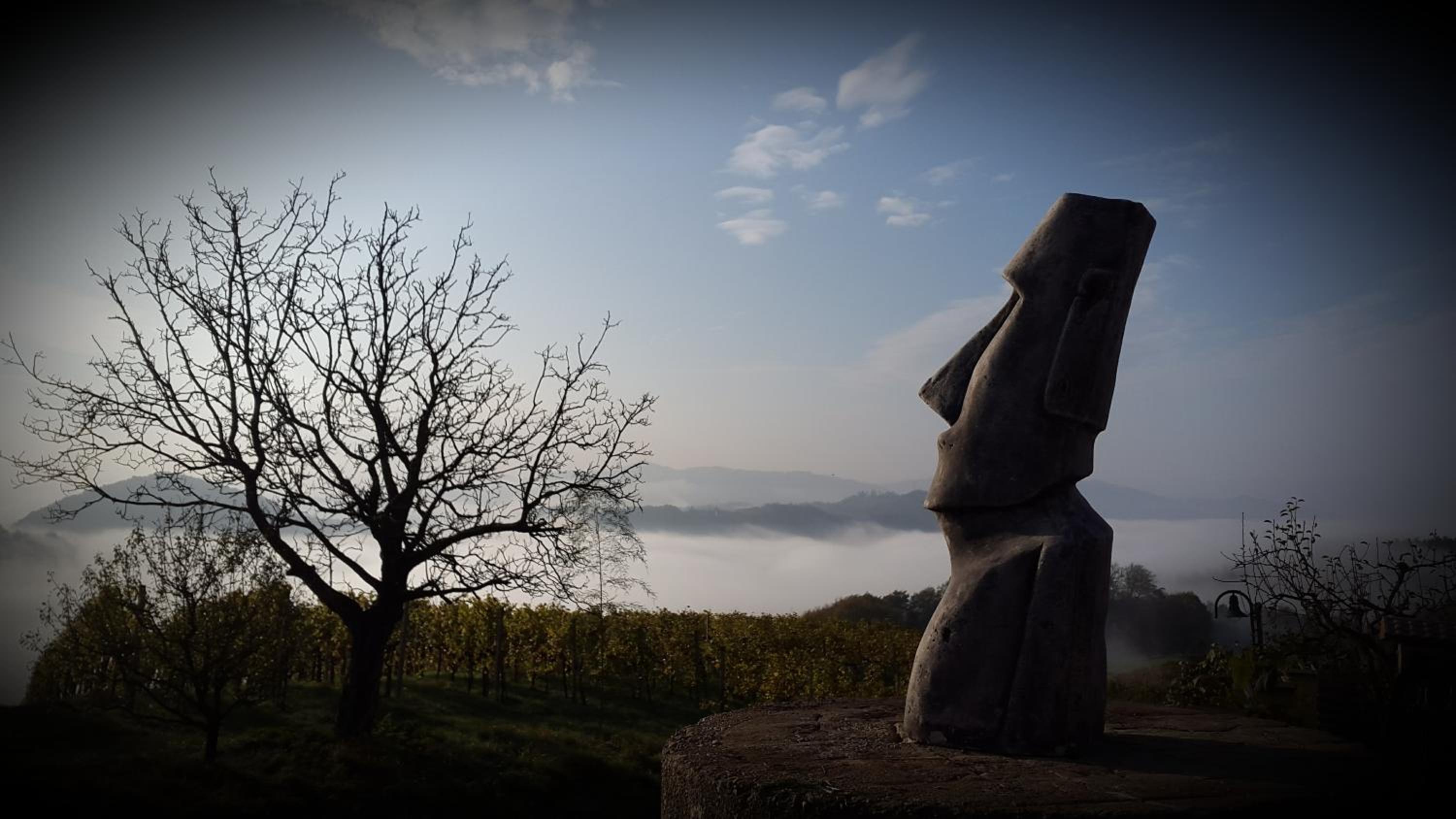 Weingut Reiterer