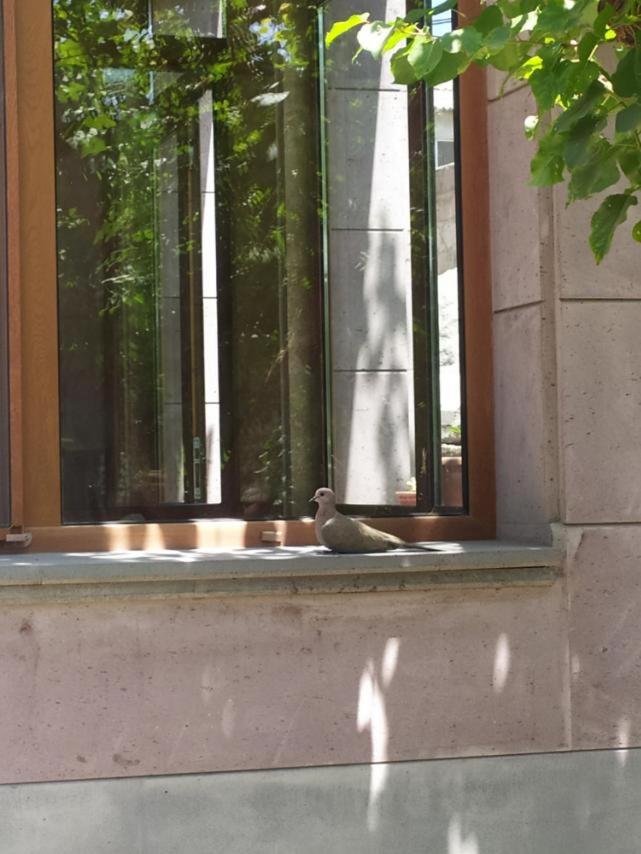 Mashtots B&B