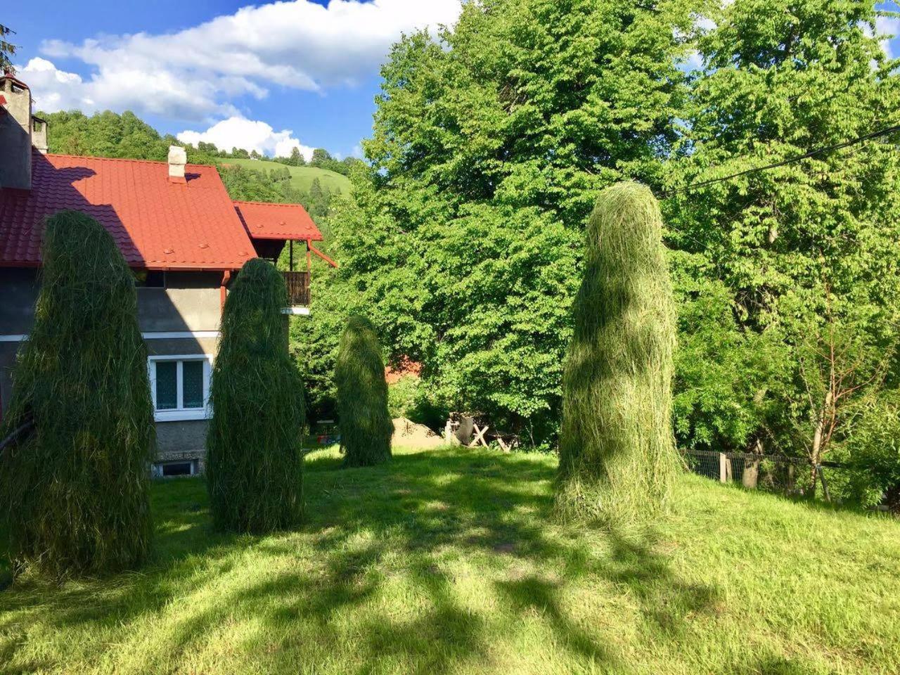 Photo 33