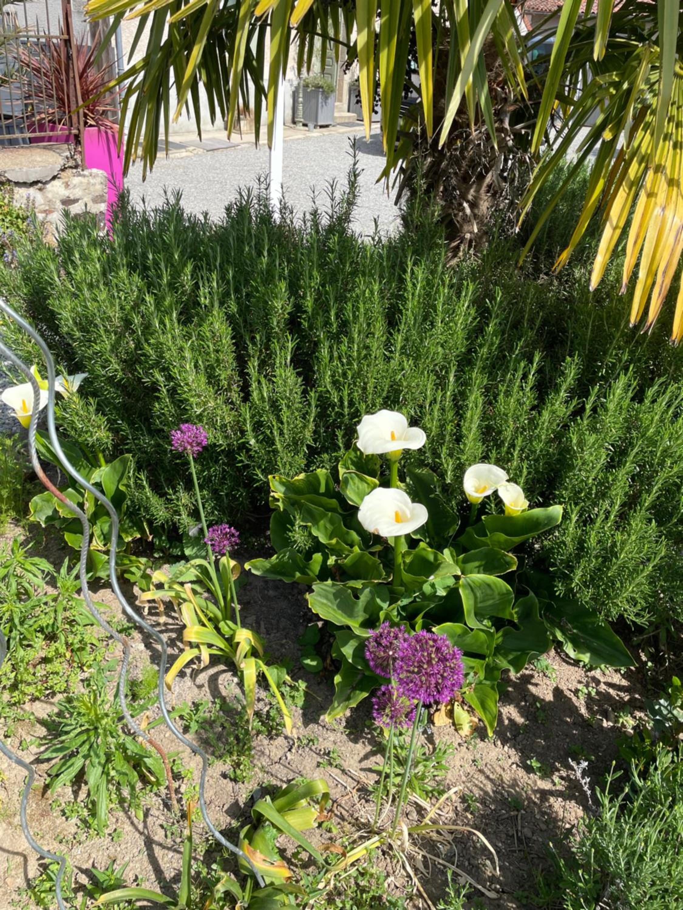 Photo 6