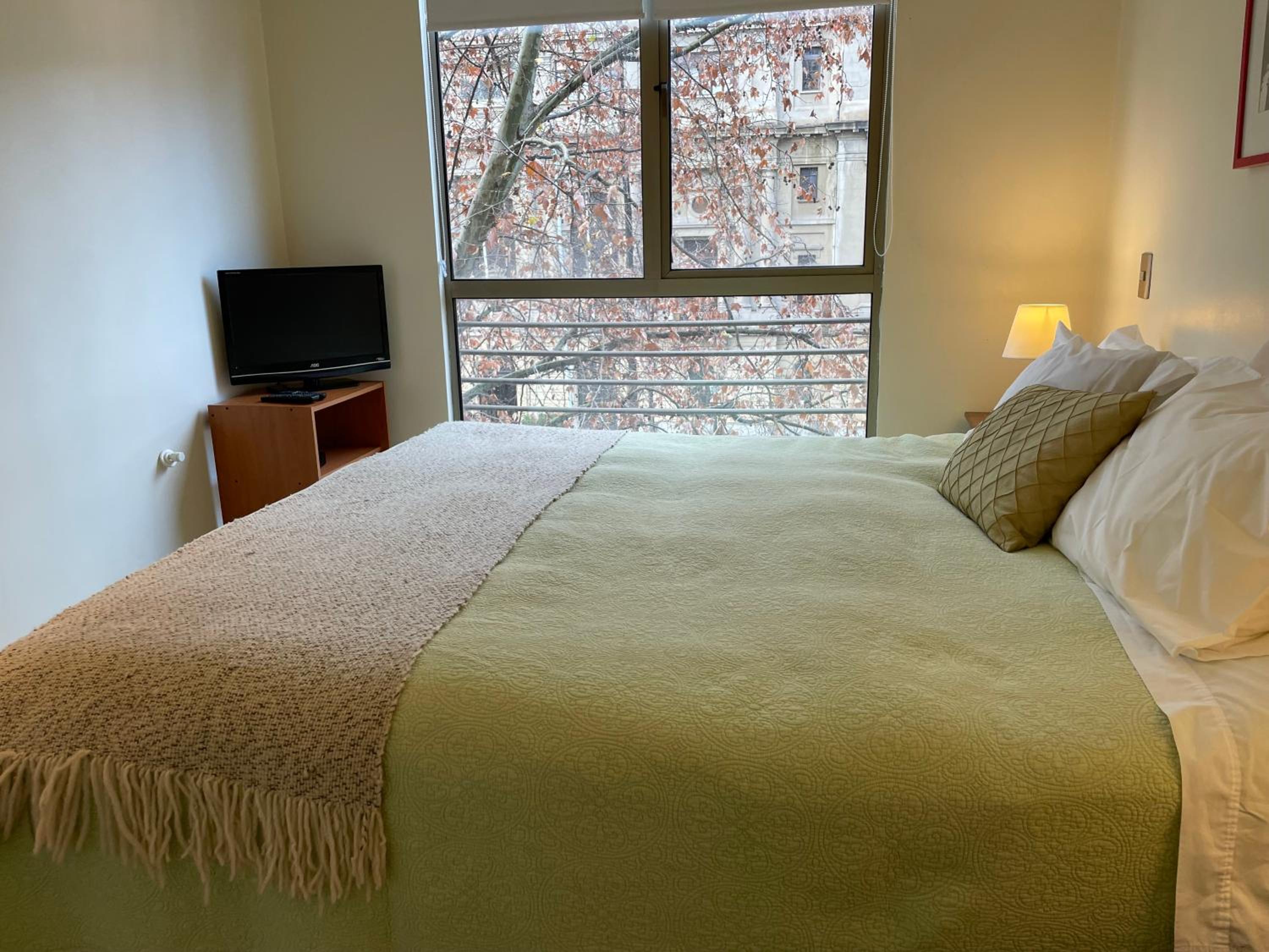 Barrio Lastarria, Excelentes Apartamentos - Sofia Camilla Propiedades