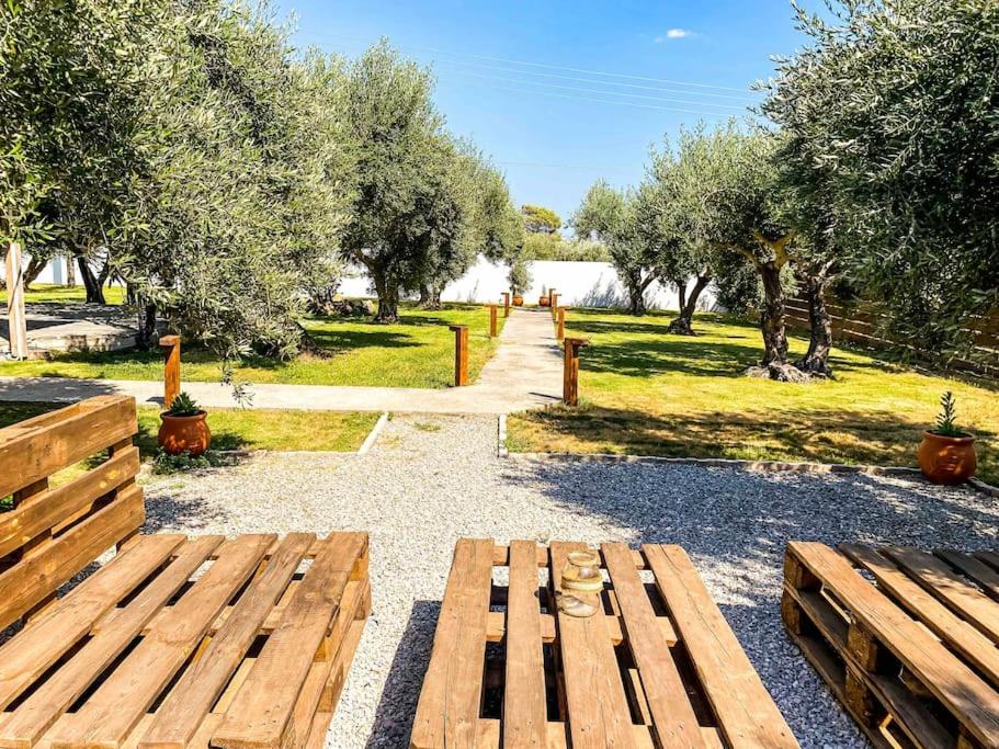 Oliviera - House in Nature