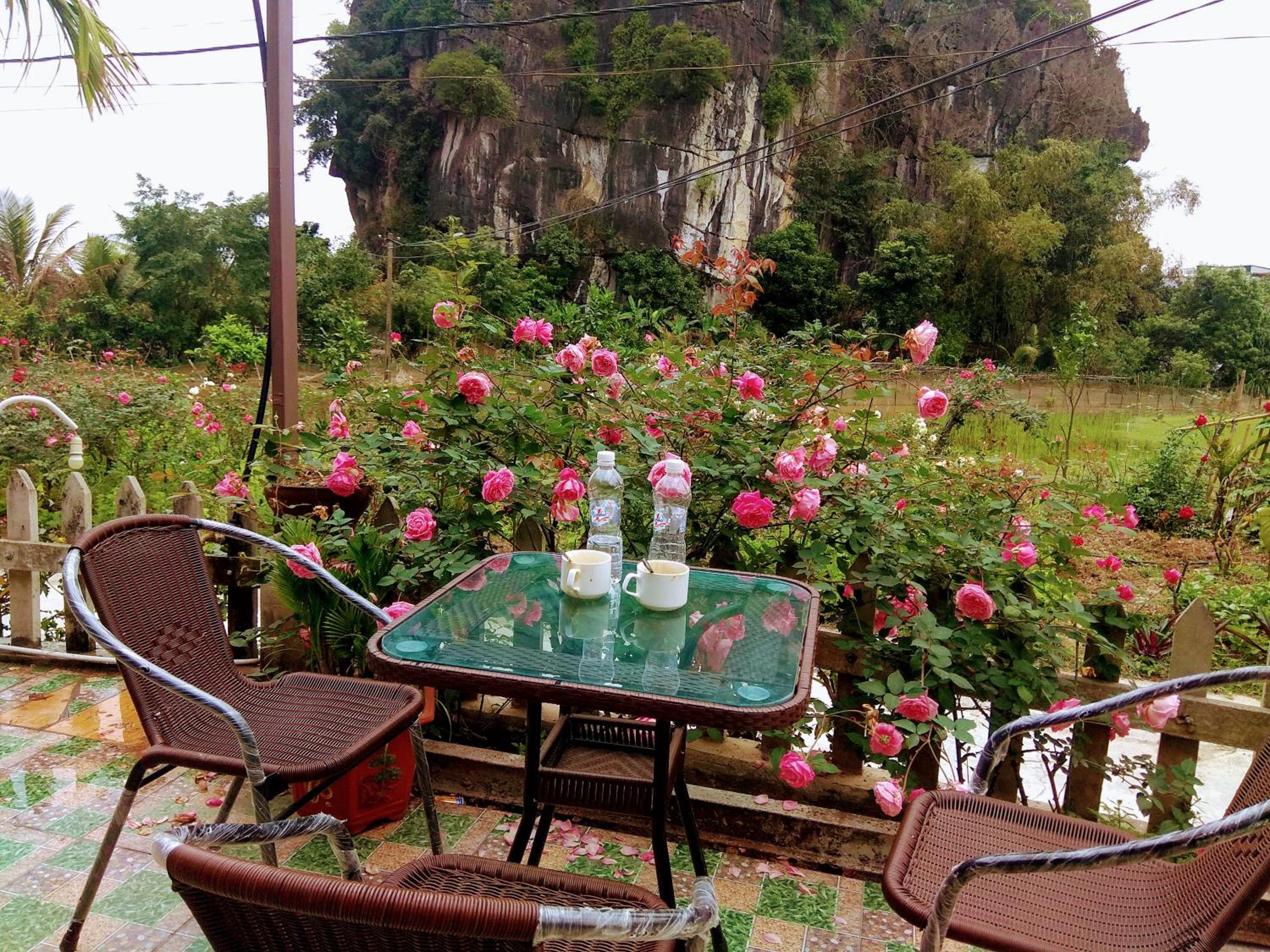 Tam Coc Eco Field Nest By ANMS GROUP