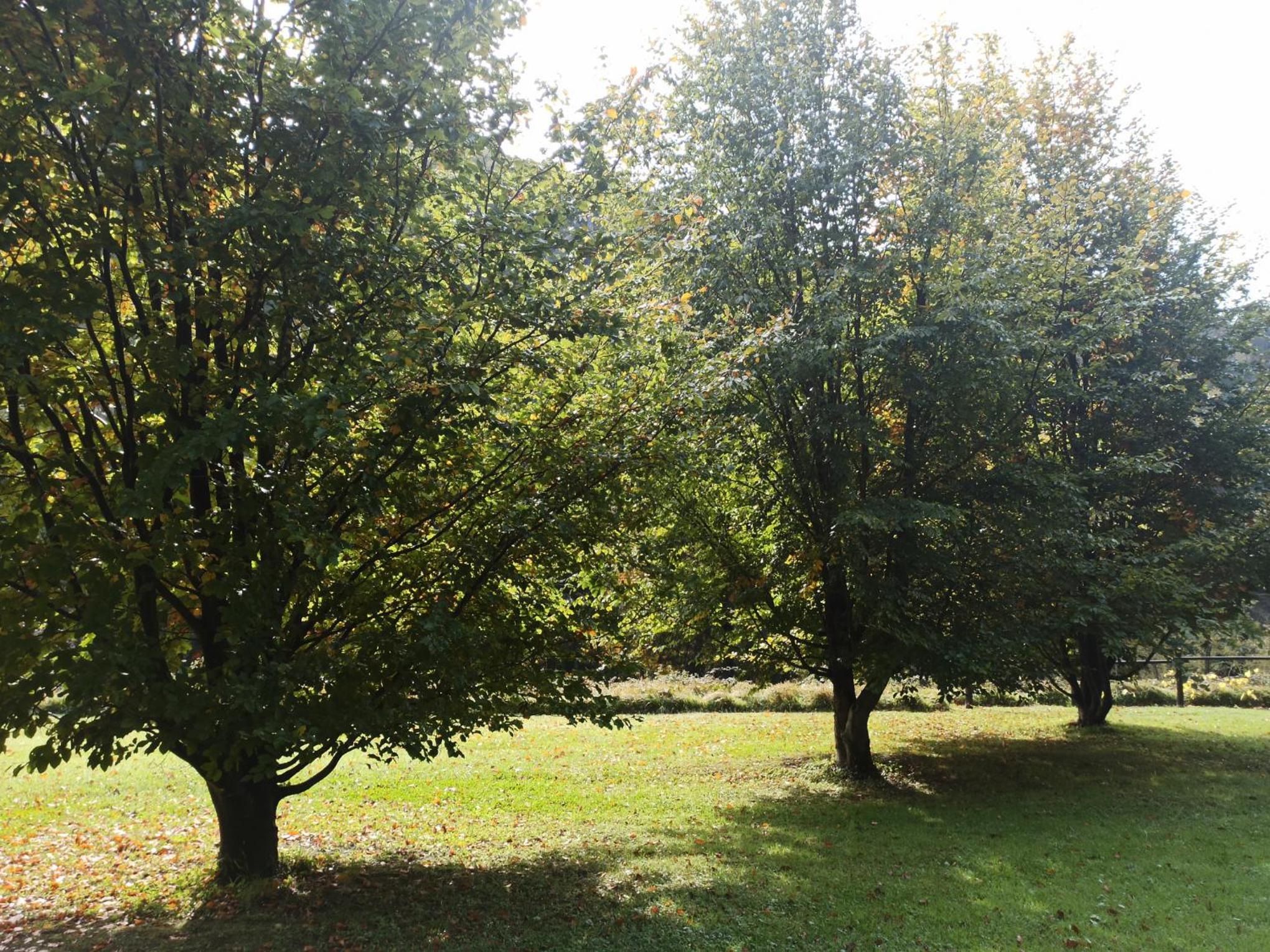 Photo 46