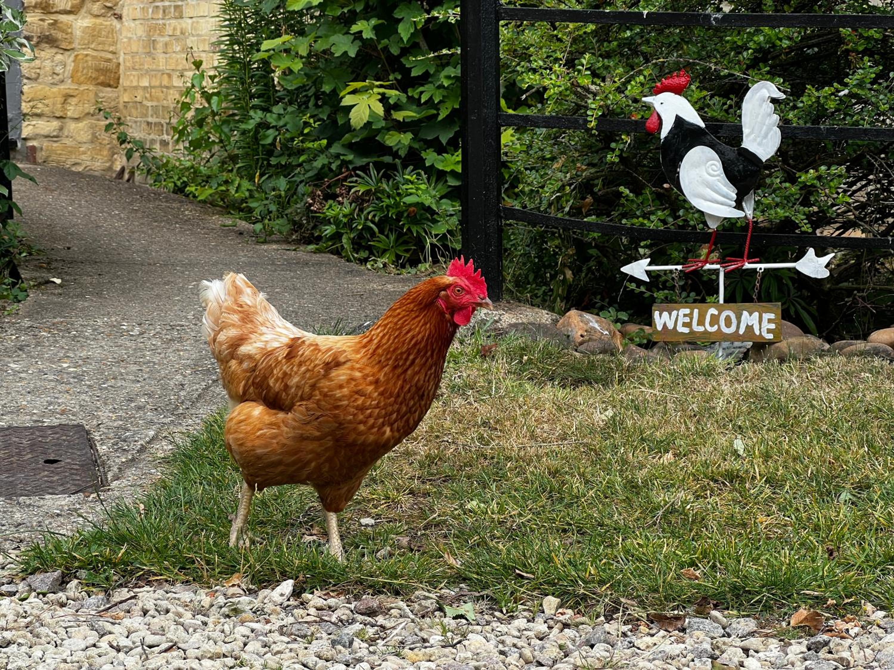 Home Farm Bed & Breakfast