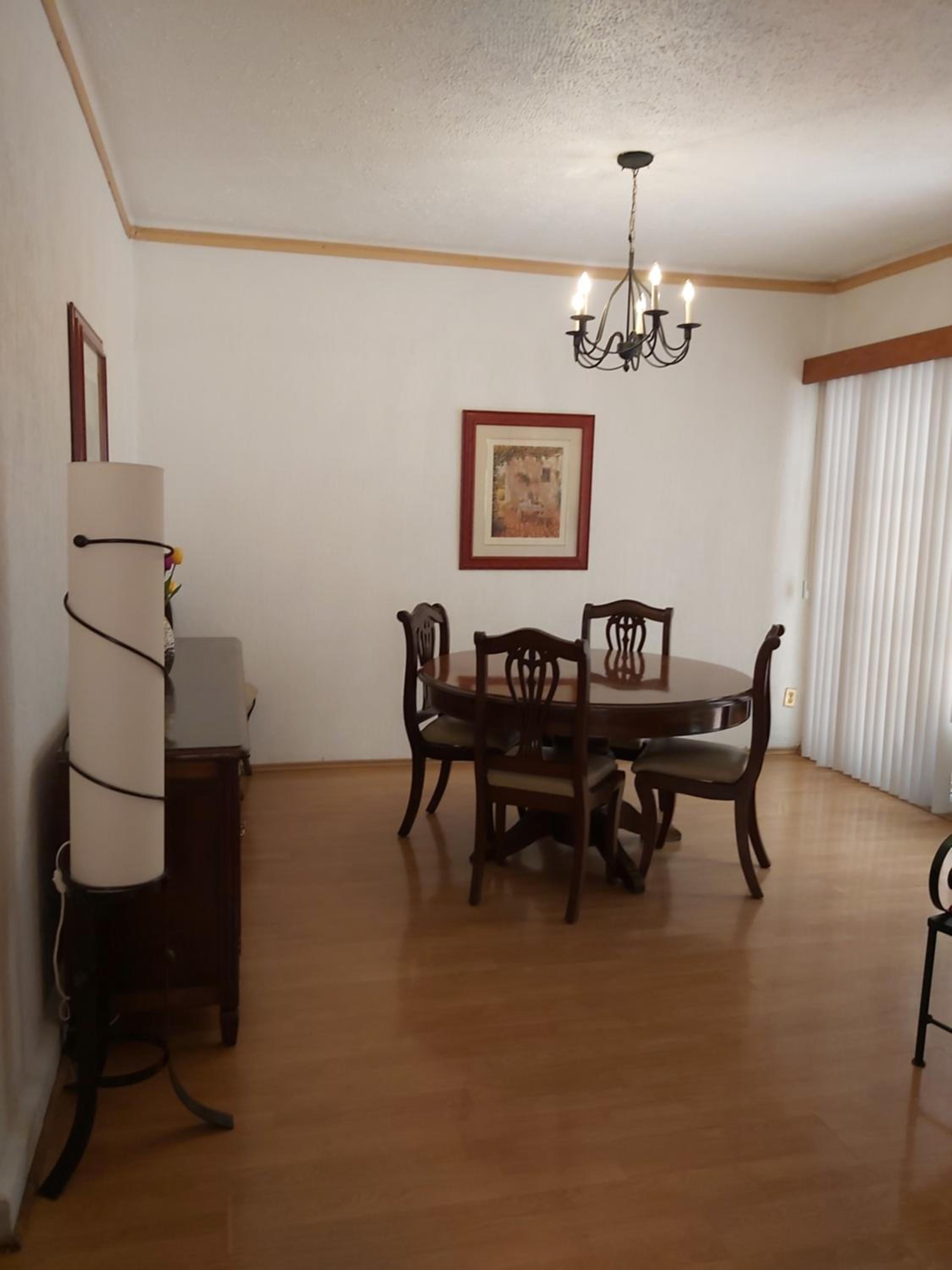 Steinhaus Suites Homero