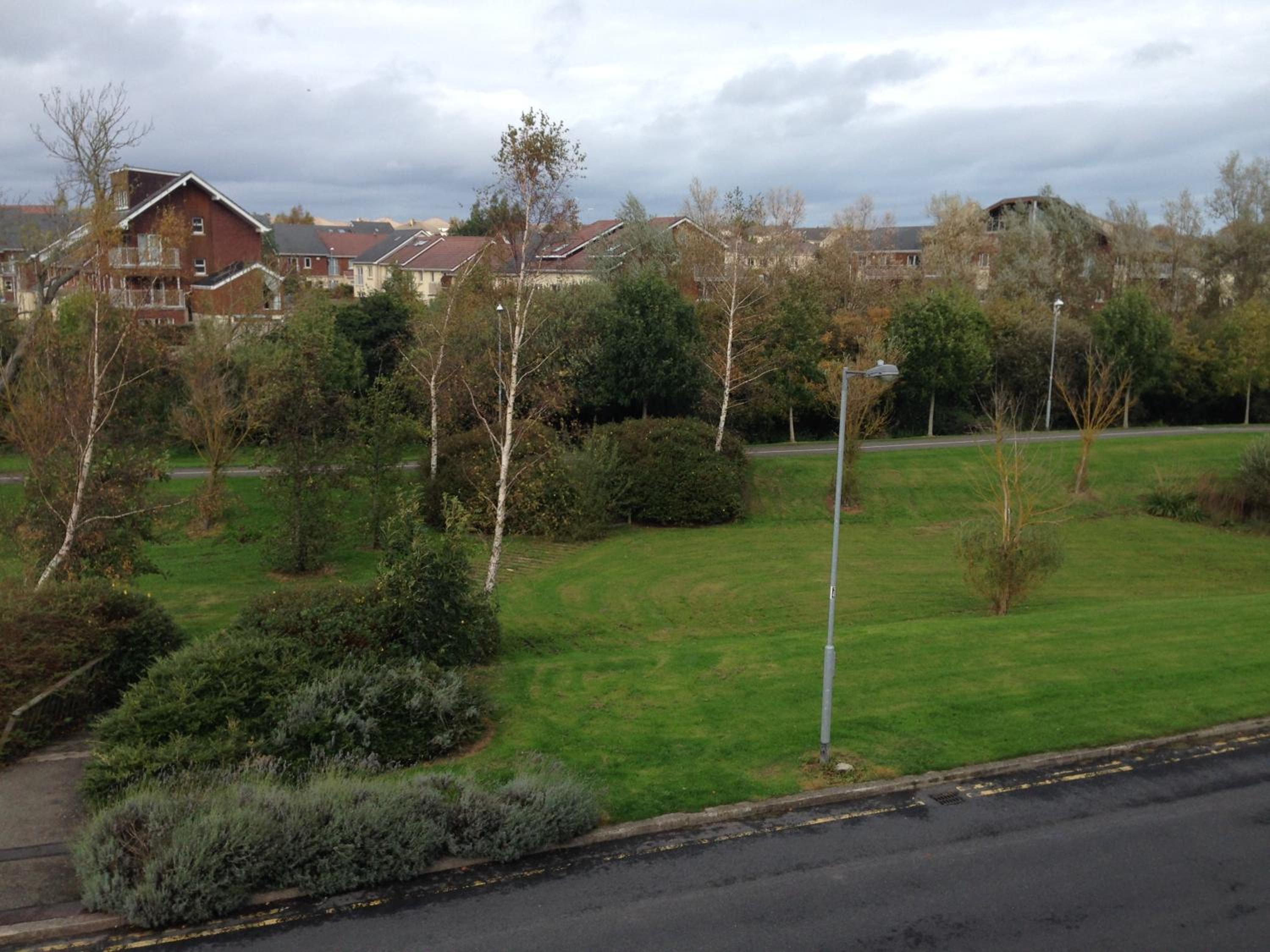 Photo 25