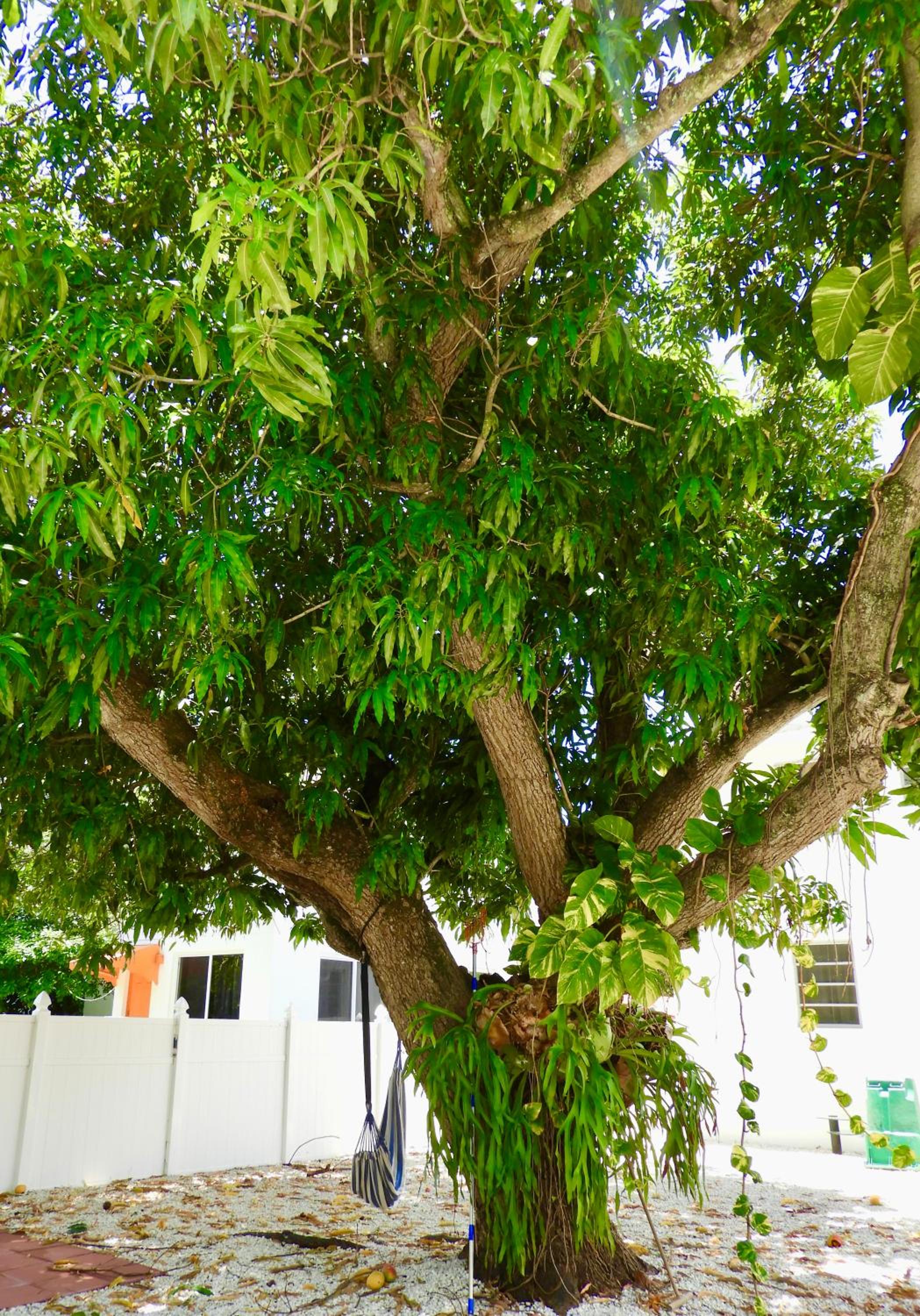 Beautiful Casita with King Bed and private patio Close to Calle 8, MIA Airport, Coral Gables
