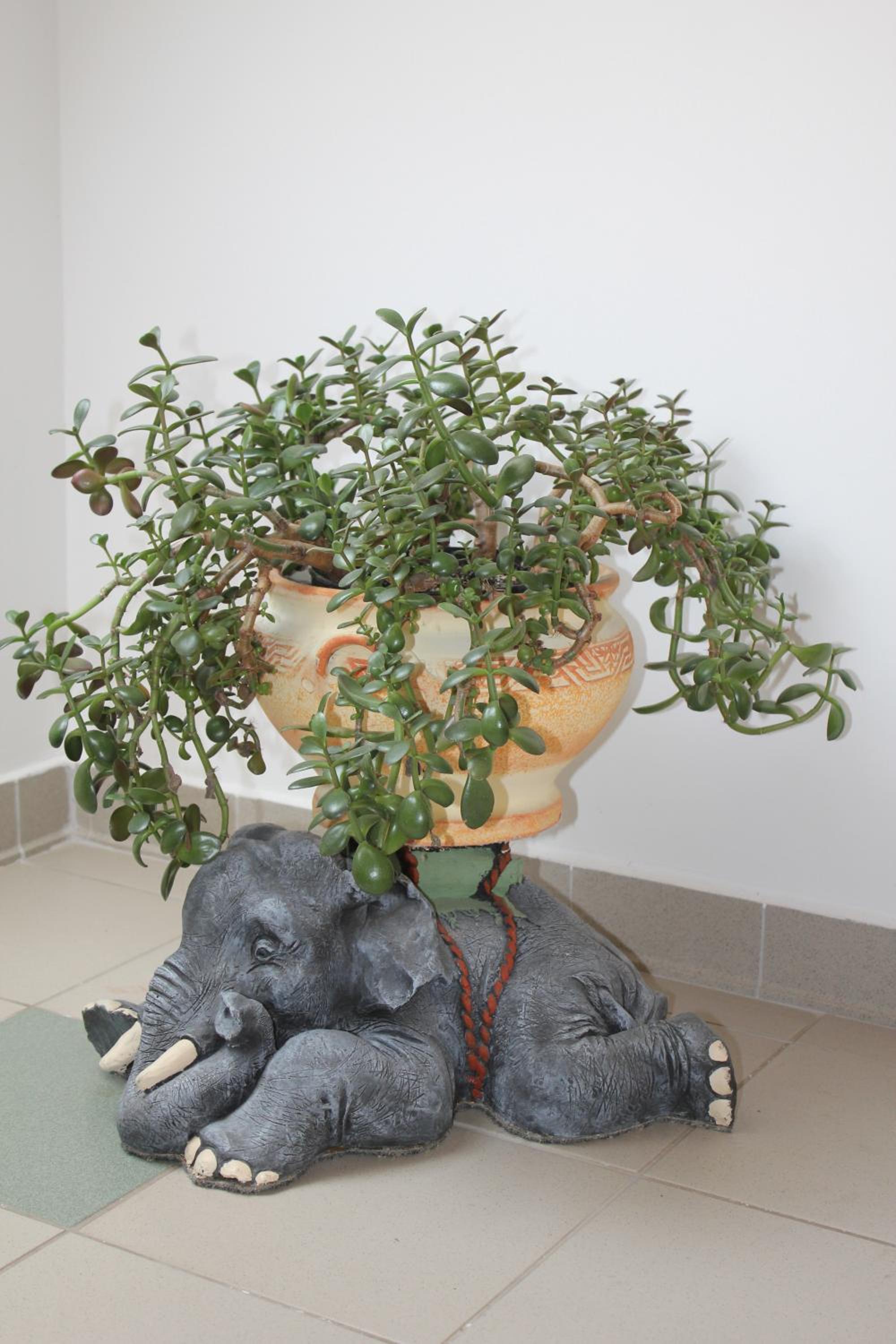 Photo 24