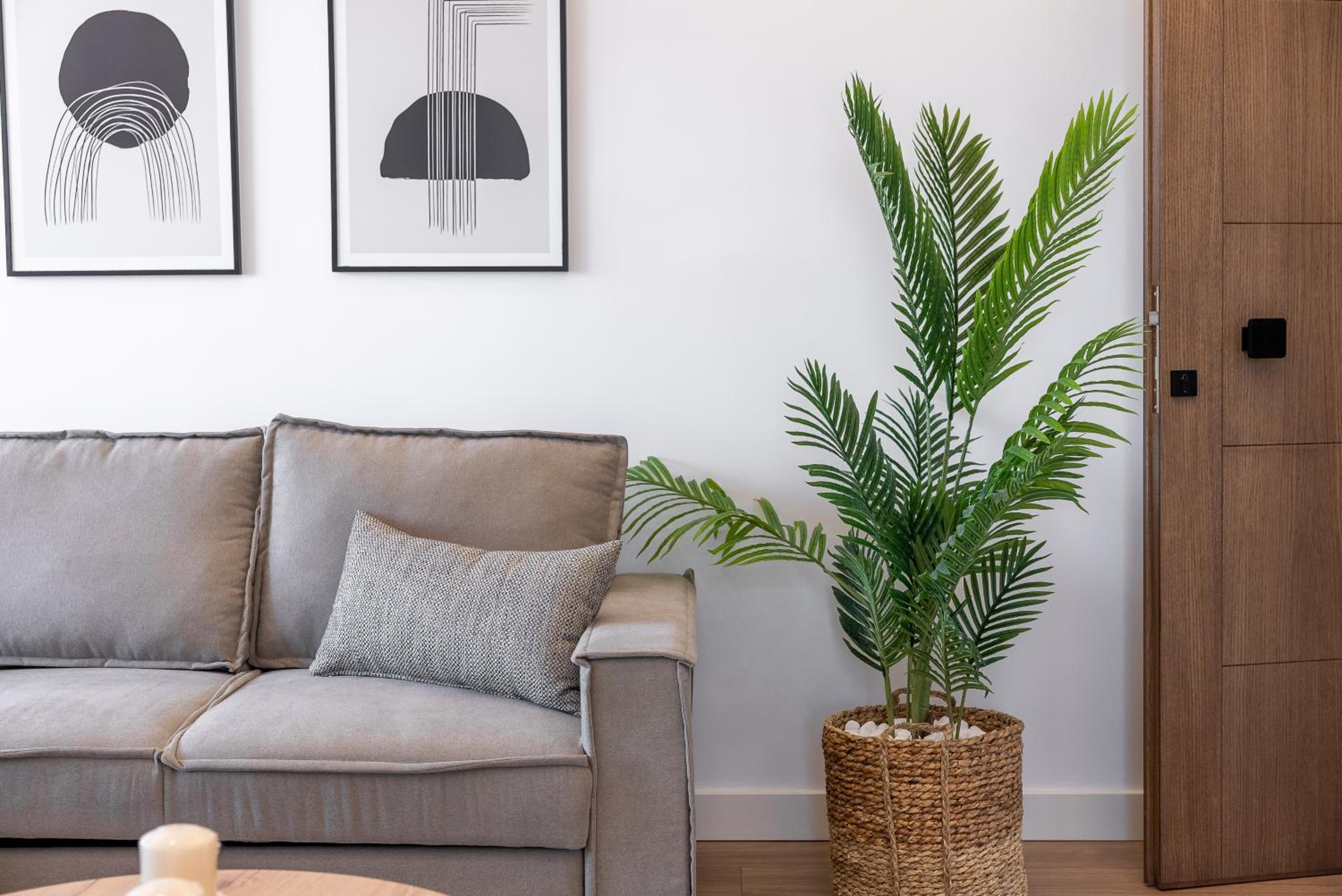 Almy Luxury Apartments view 4