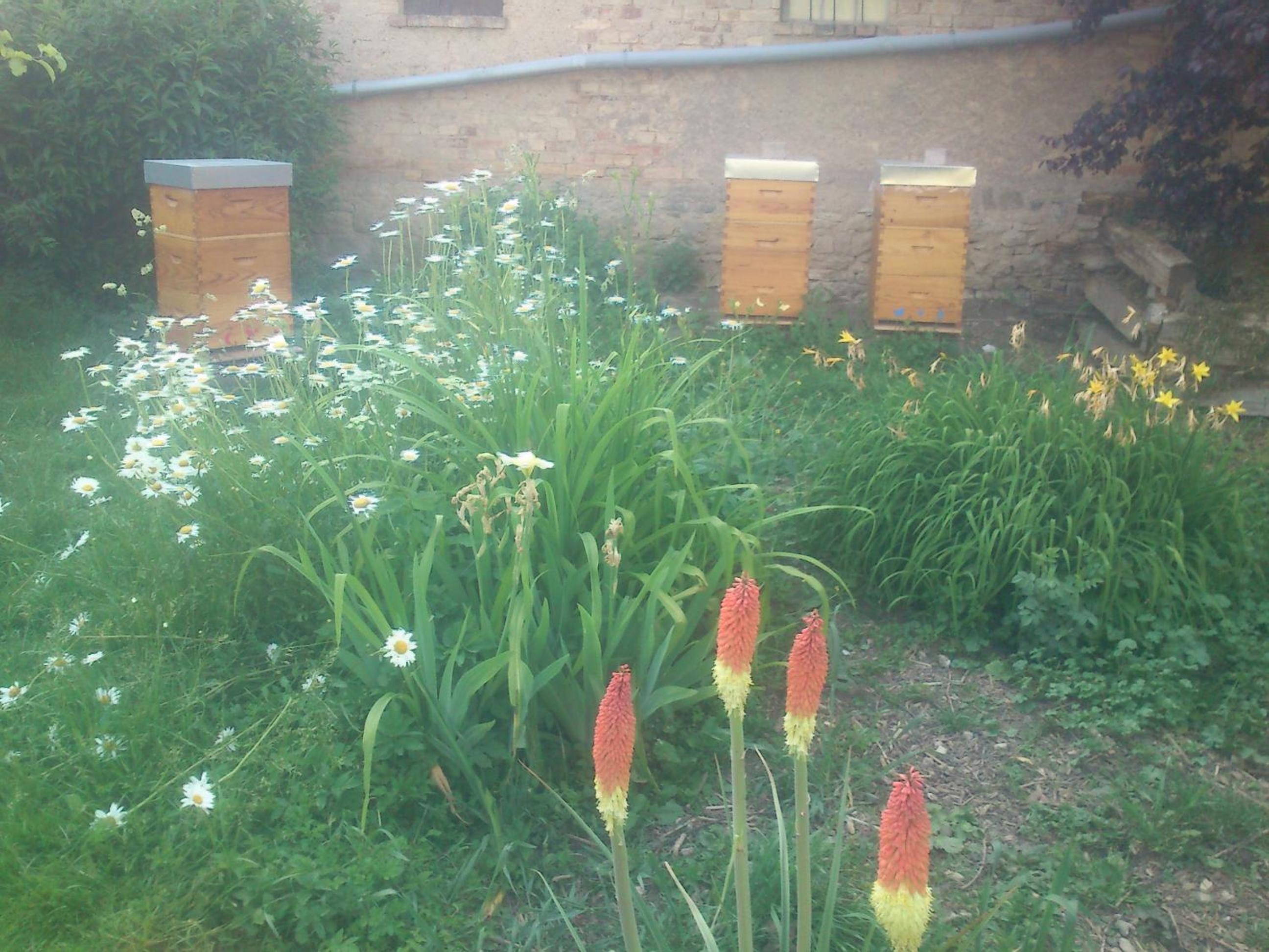FeWo Gutendorf