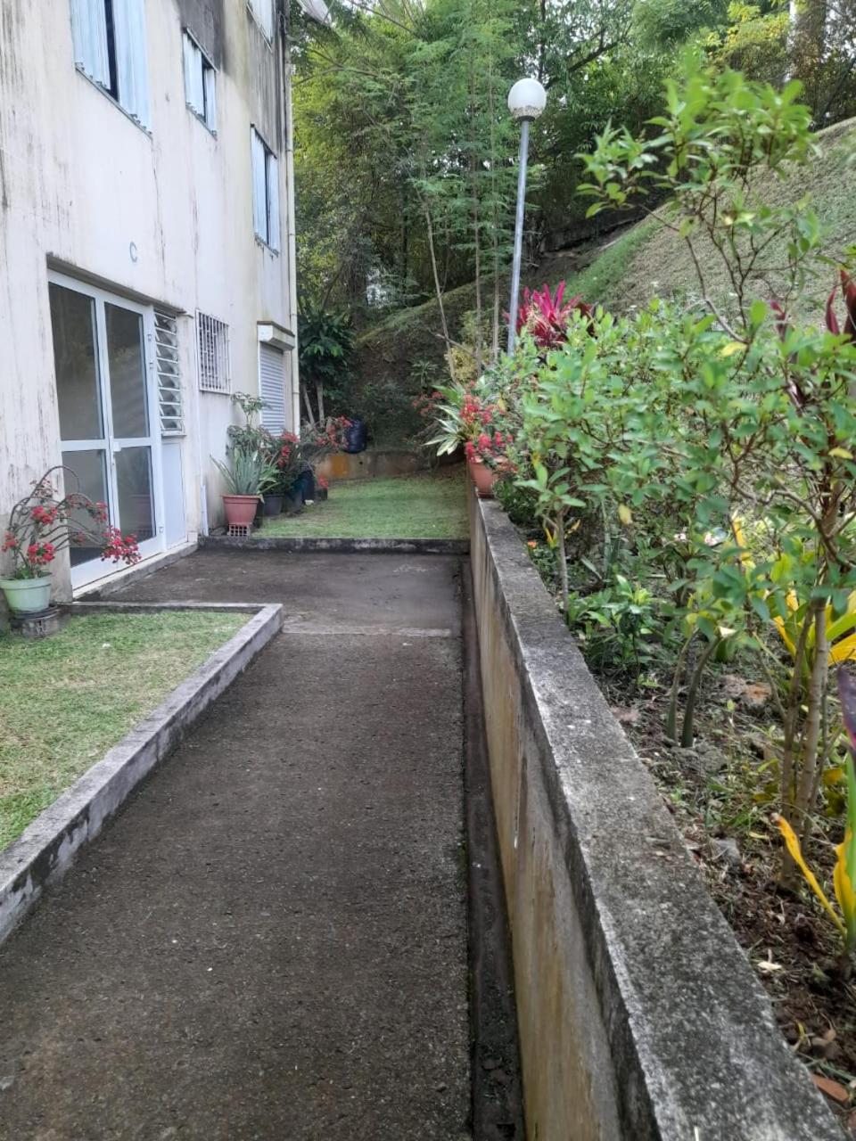 Escale au jardin des plantes view 3