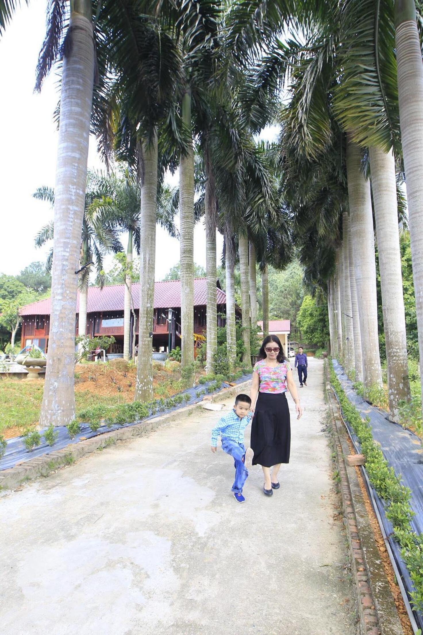 Royal Palm Garden Sóc Sơn - Venue Travel