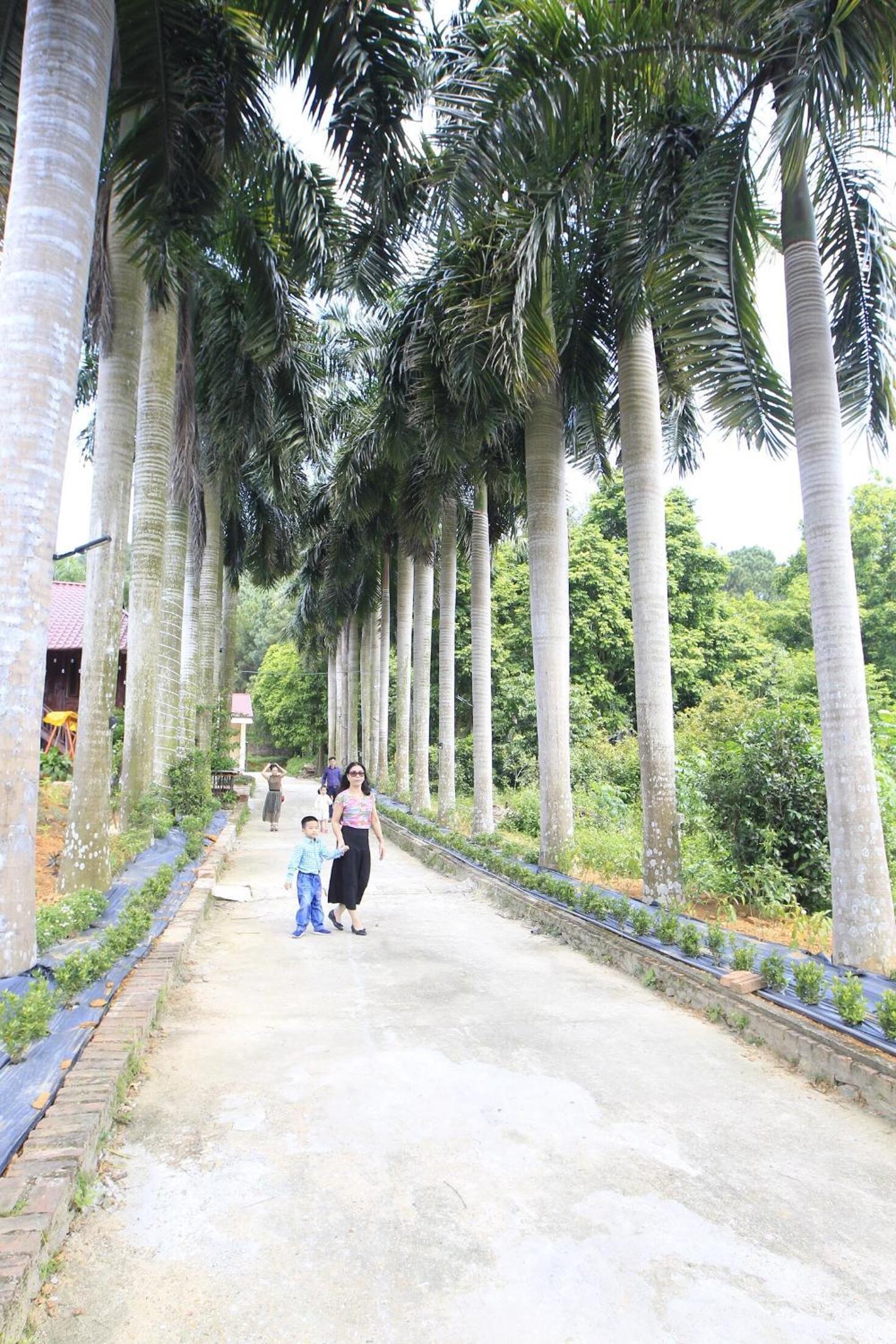 Royal Palm Garden Sóc Sơn - Venue Travel