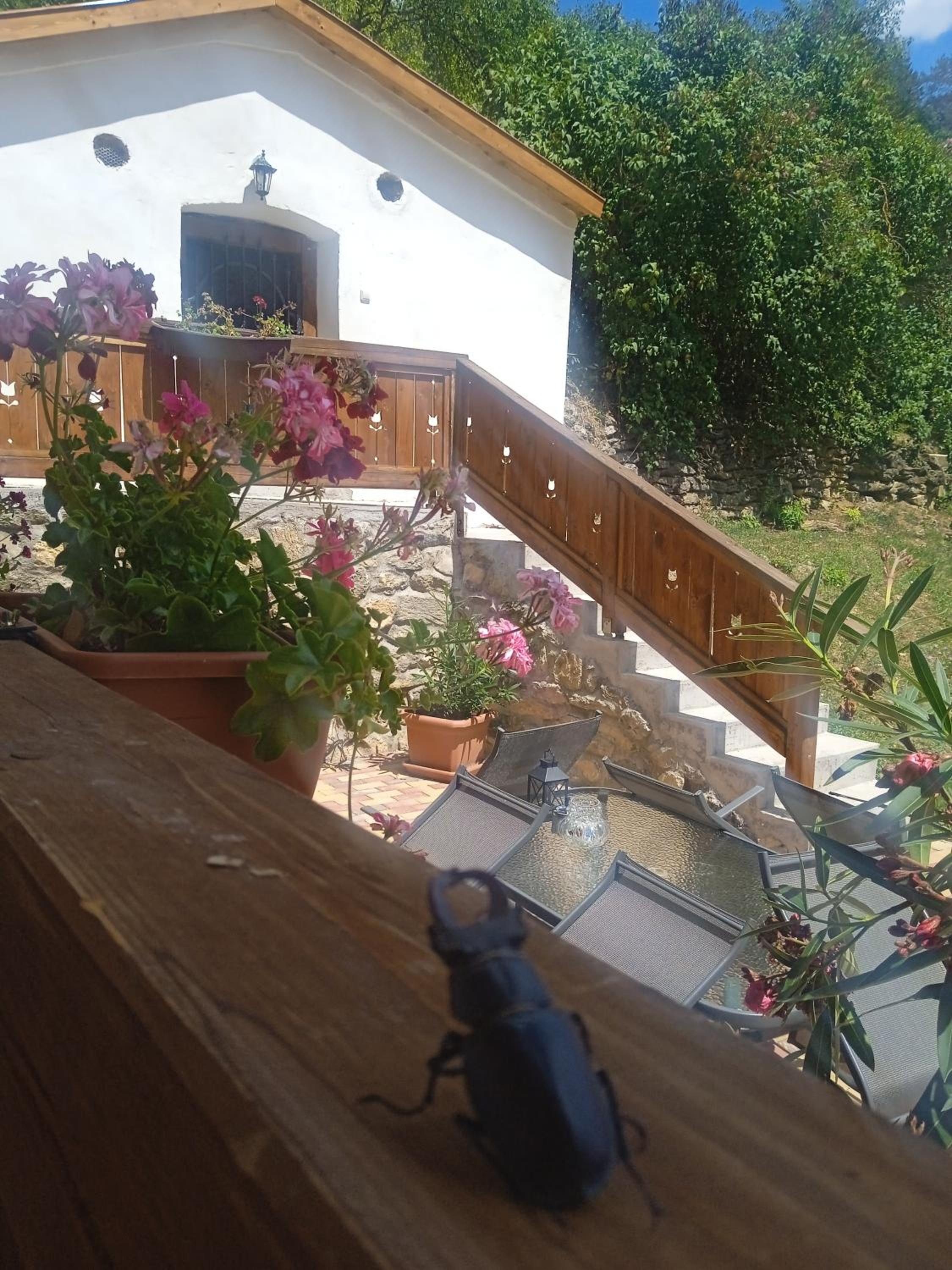 Photo 6