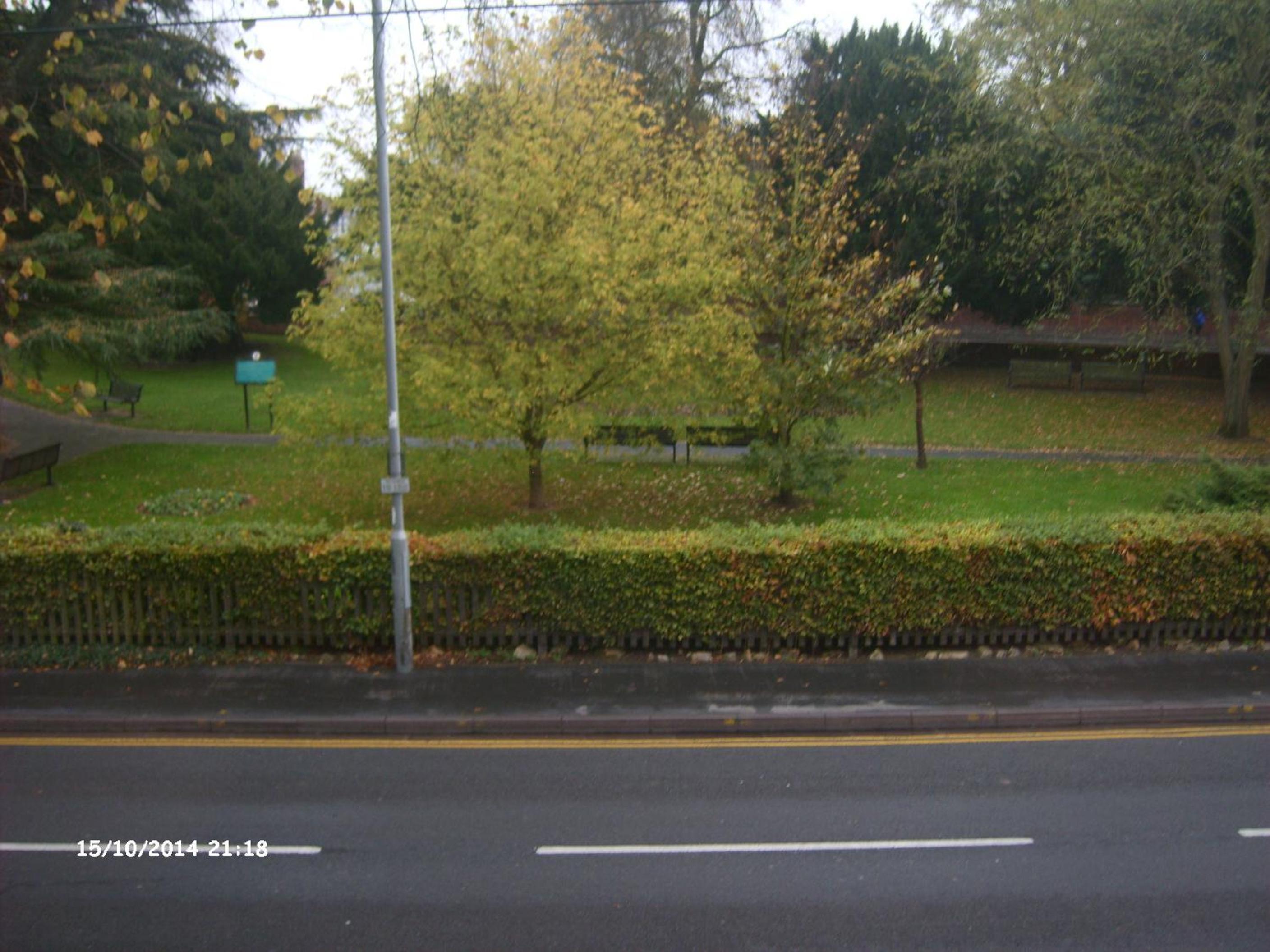 Photo 43