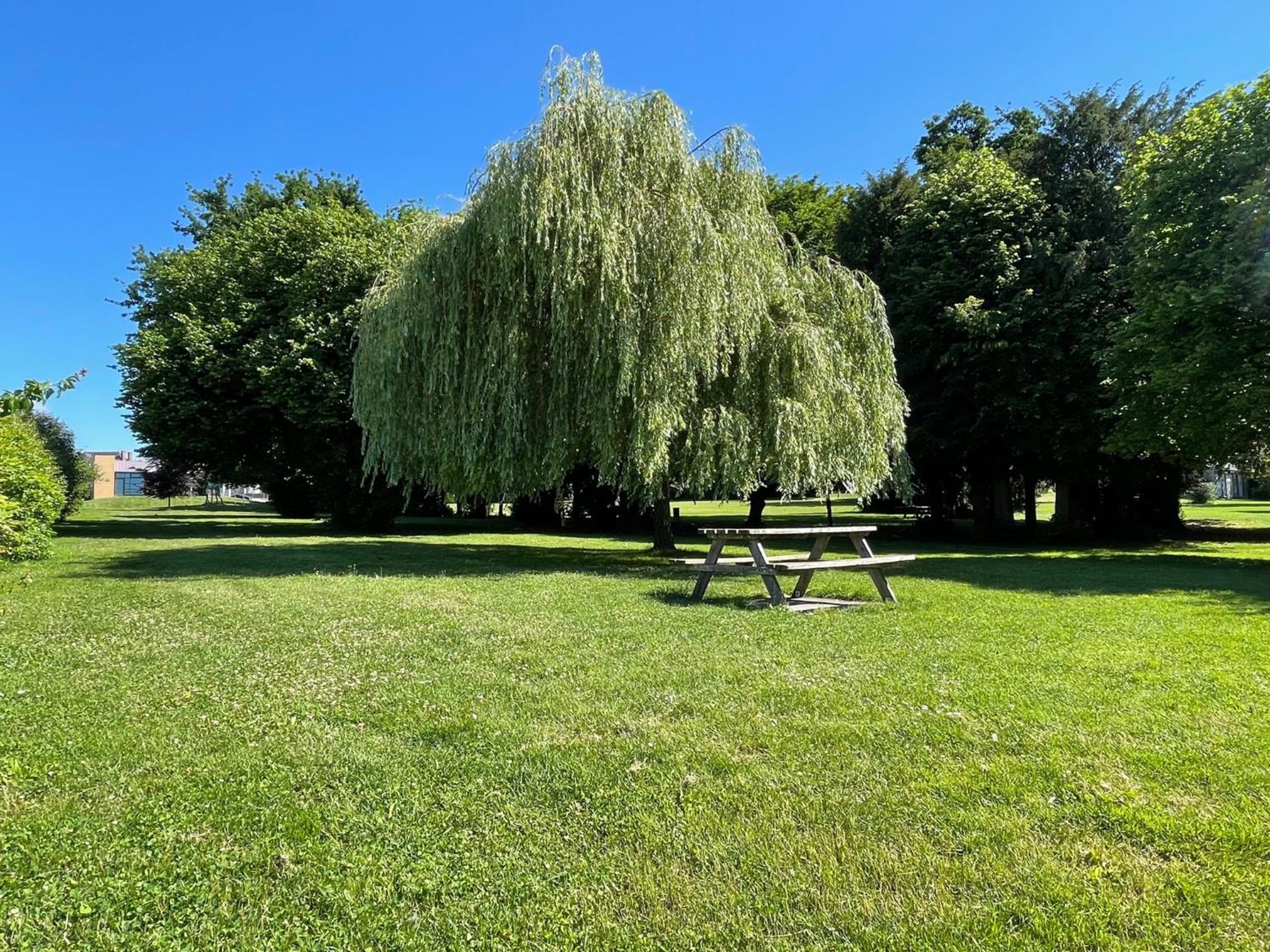 L'orée du parc