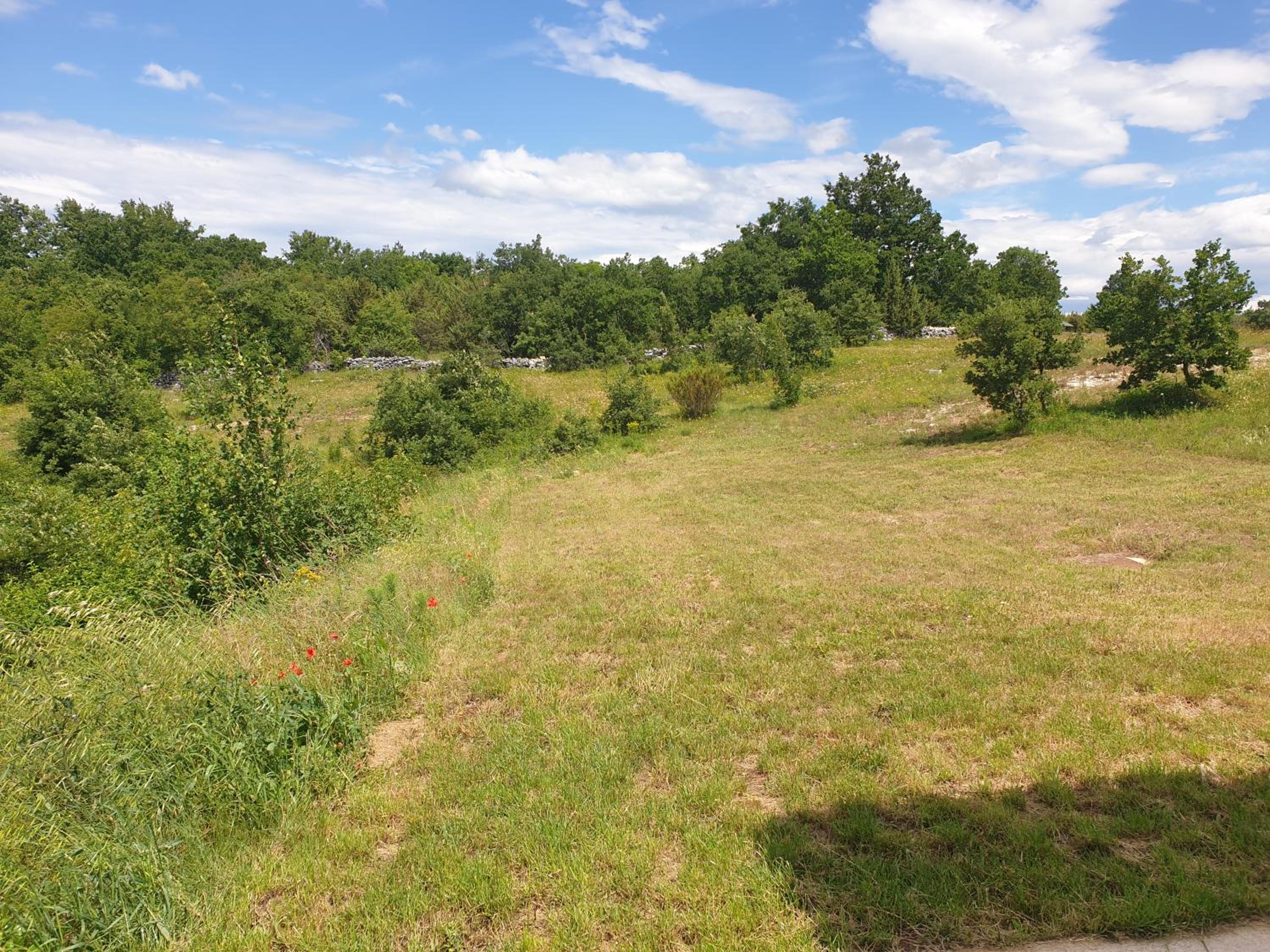 Villa Istra view 5