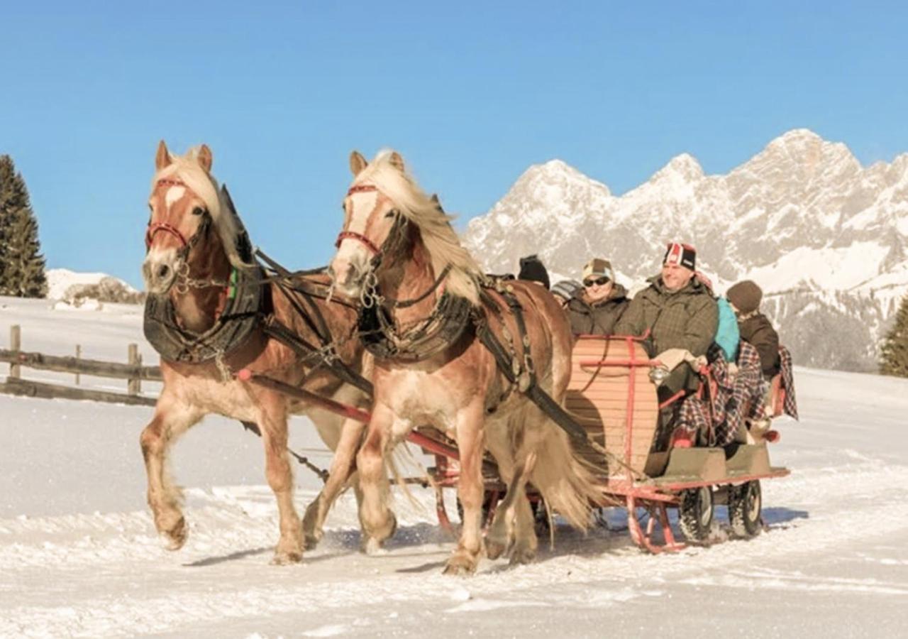 HOFERHOF Schladming -Dachstein