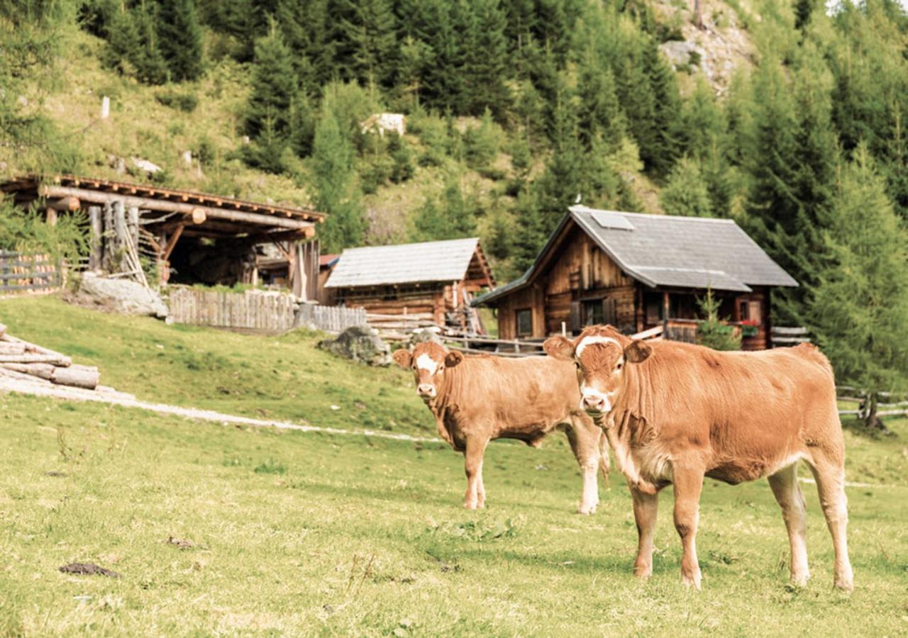 HOFERHOF Schladming -Dachstein