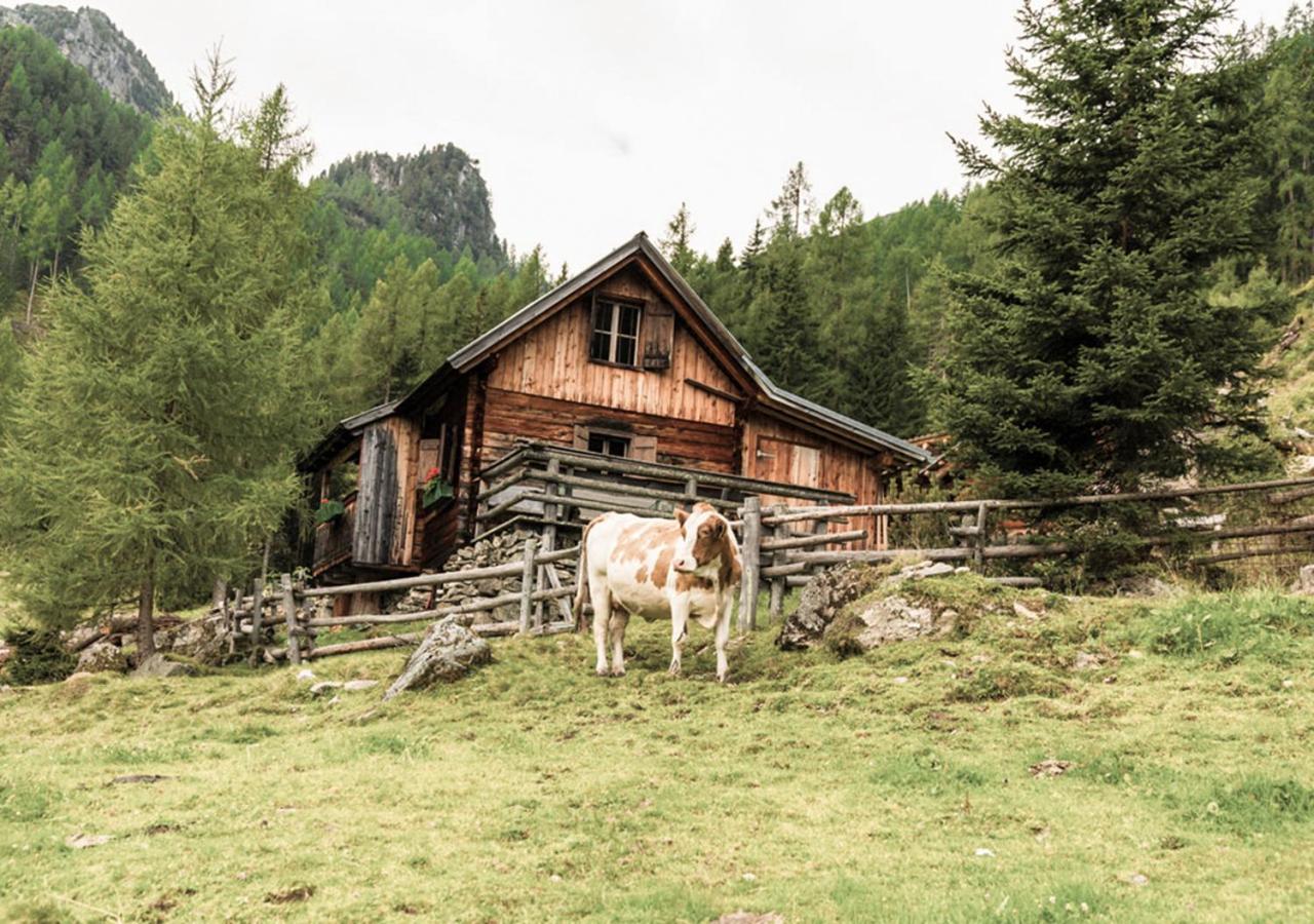 HOFERHOF Schladming -Dachstein
