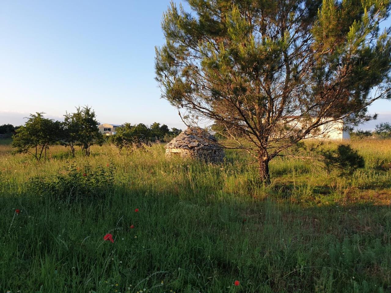 Villa Istra view 3