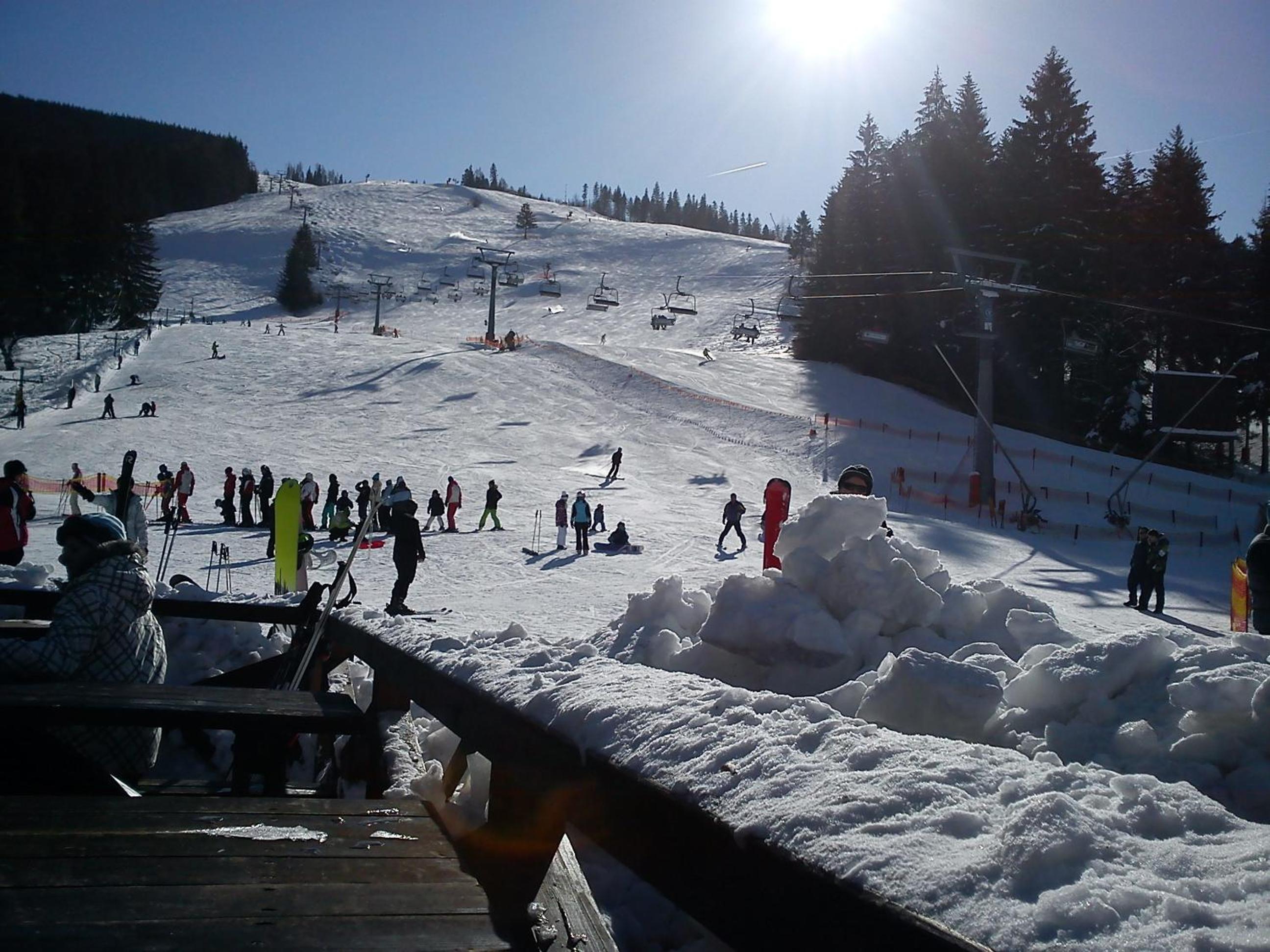 Photo 41