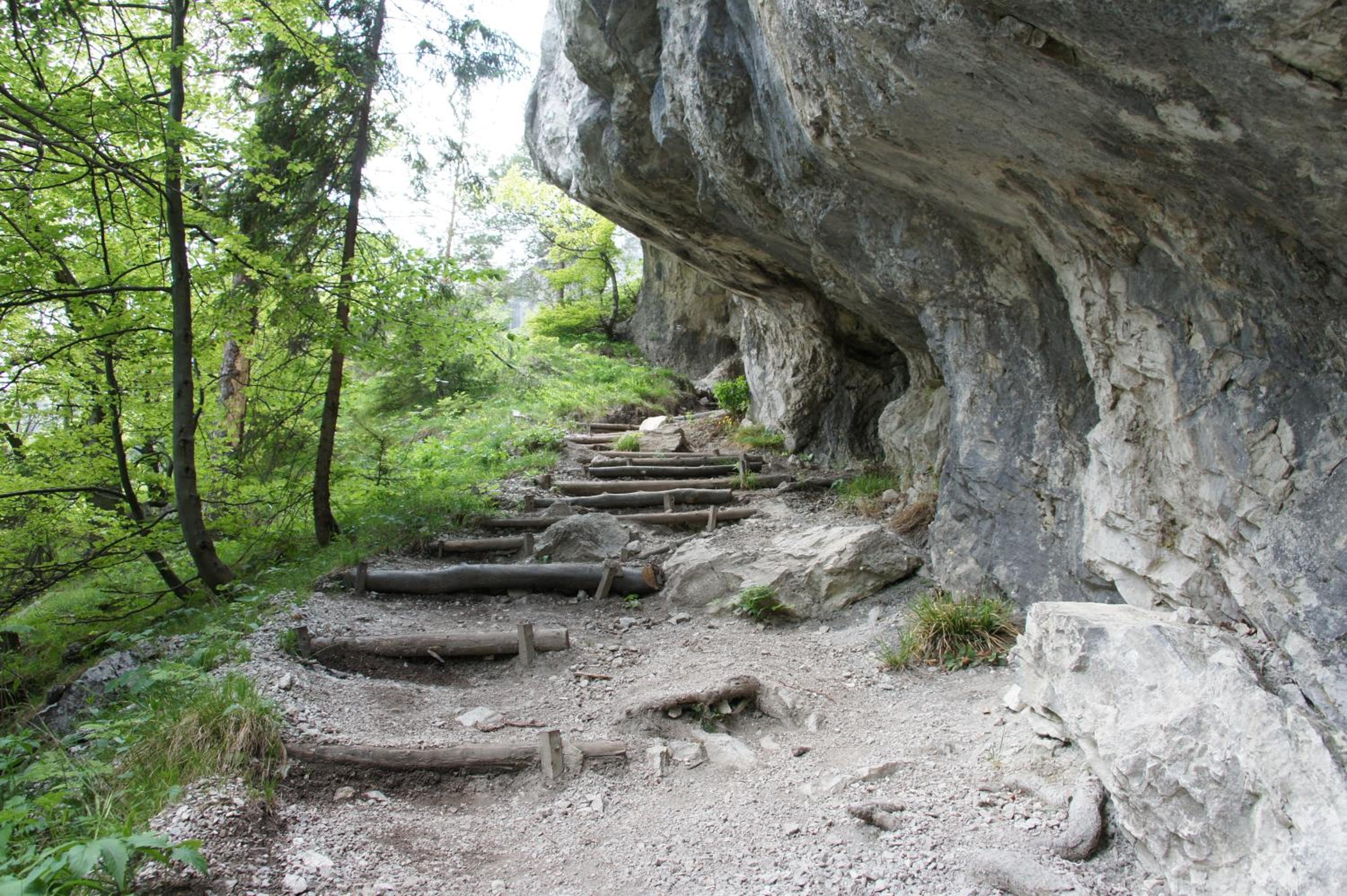 Photo 43