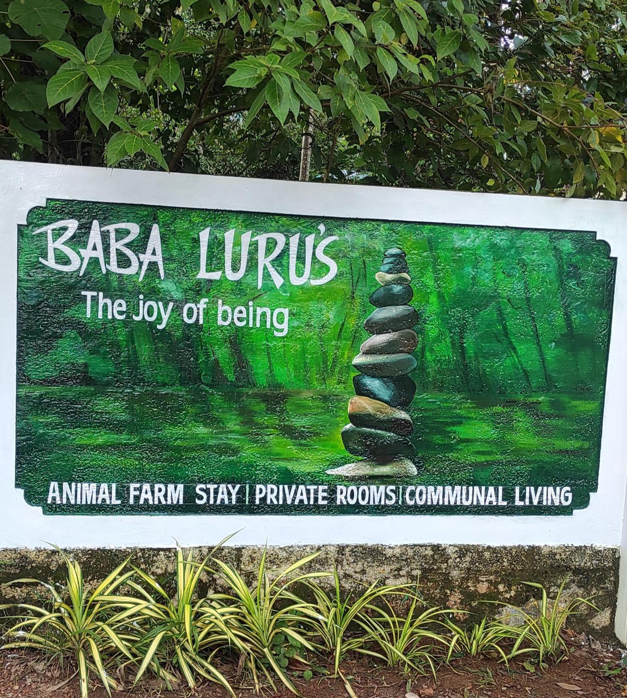 Baba Luru's view 2