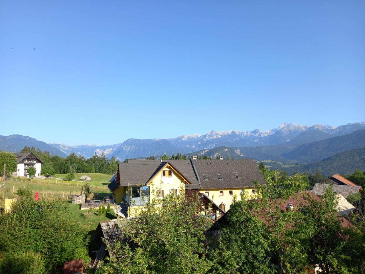 Photo 45
