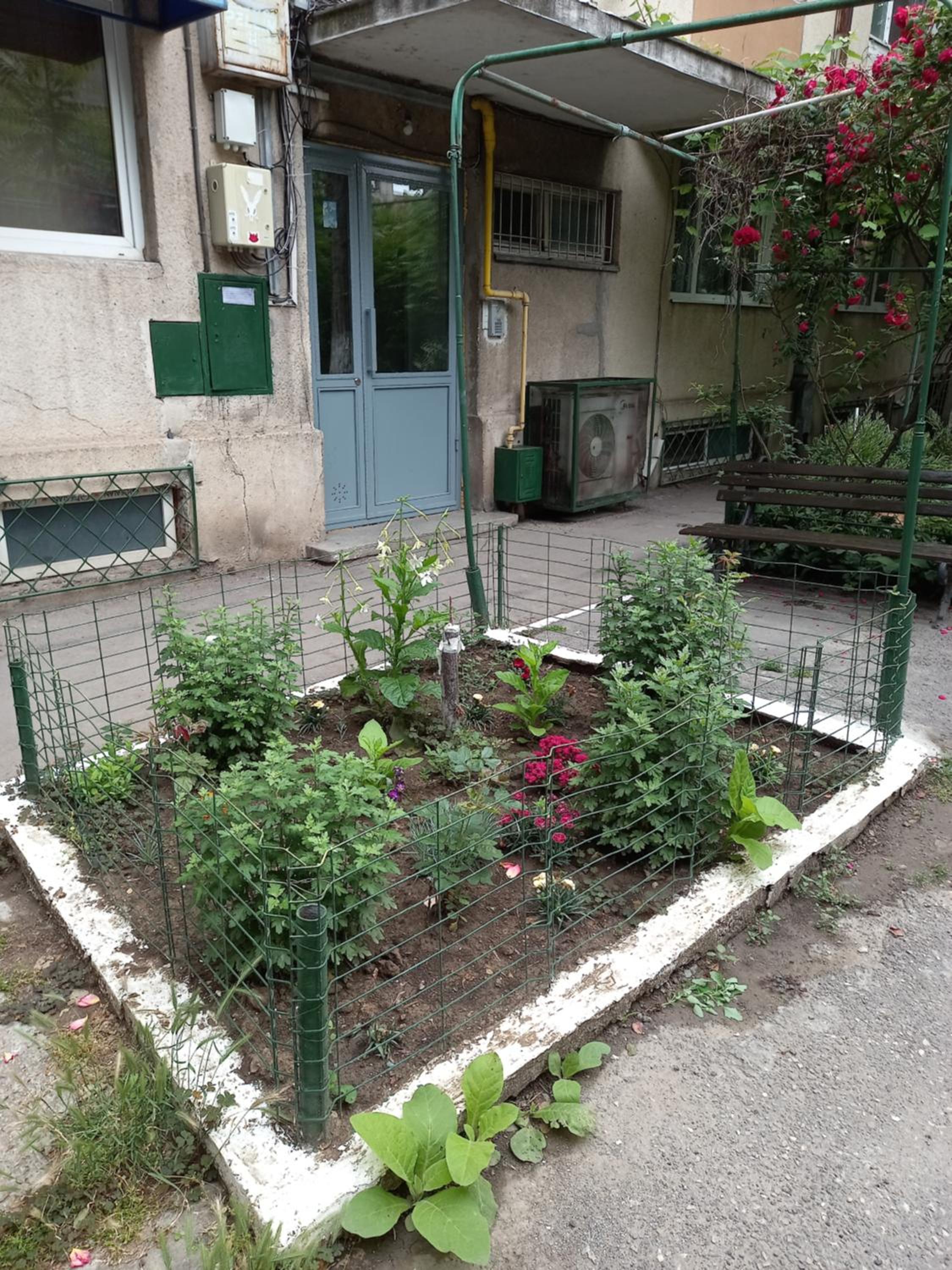 Photo 31