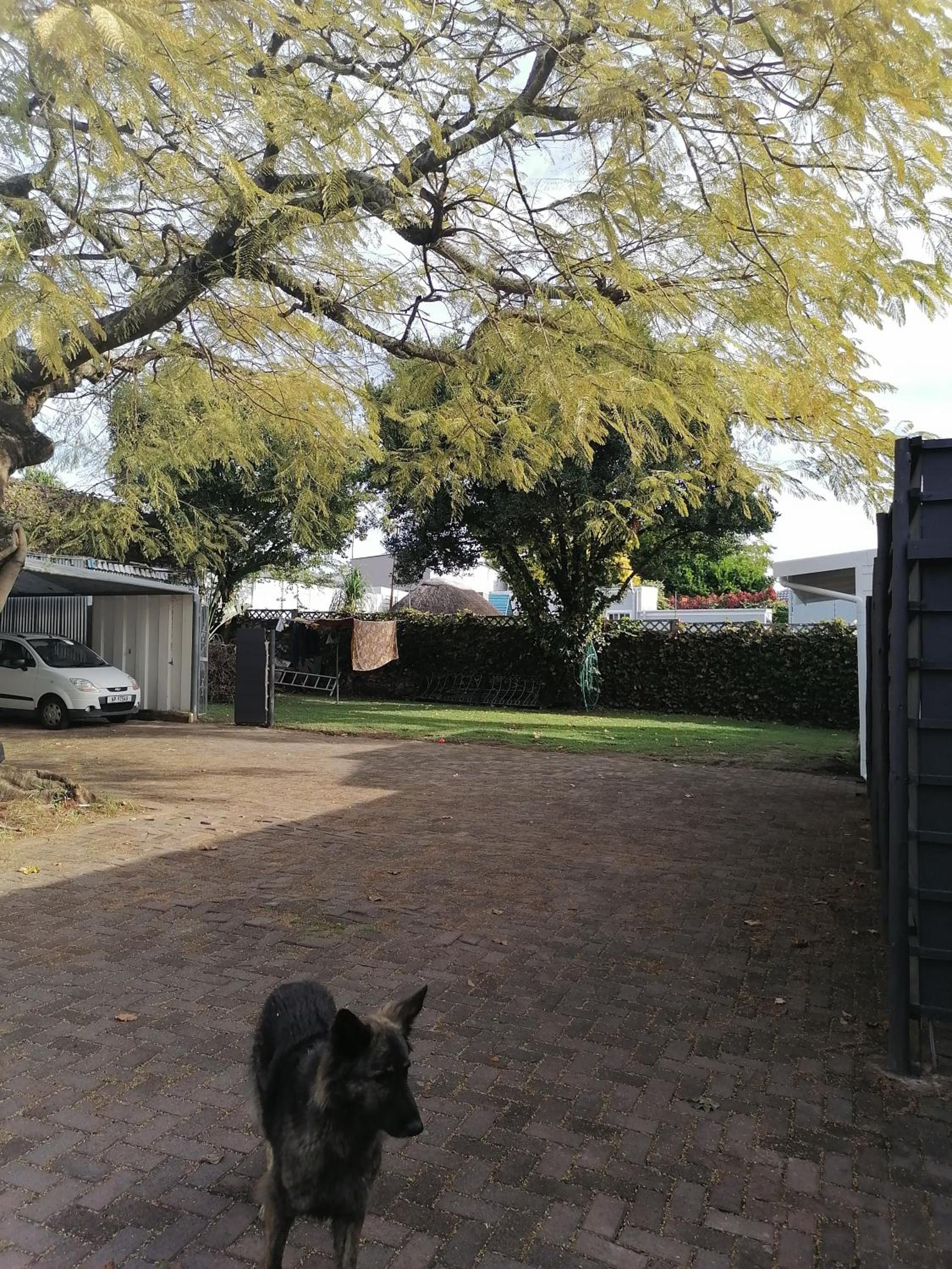 Photo 37