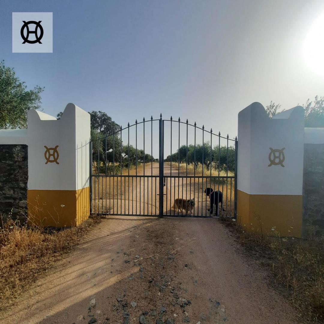Herdade da Ordem view 5