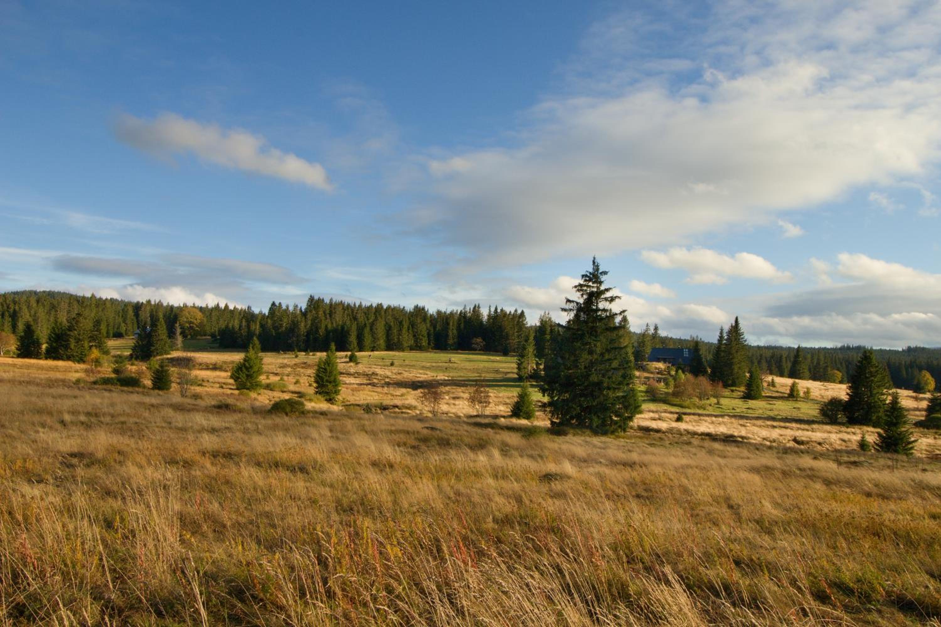 Wellness apartmán Kvilda