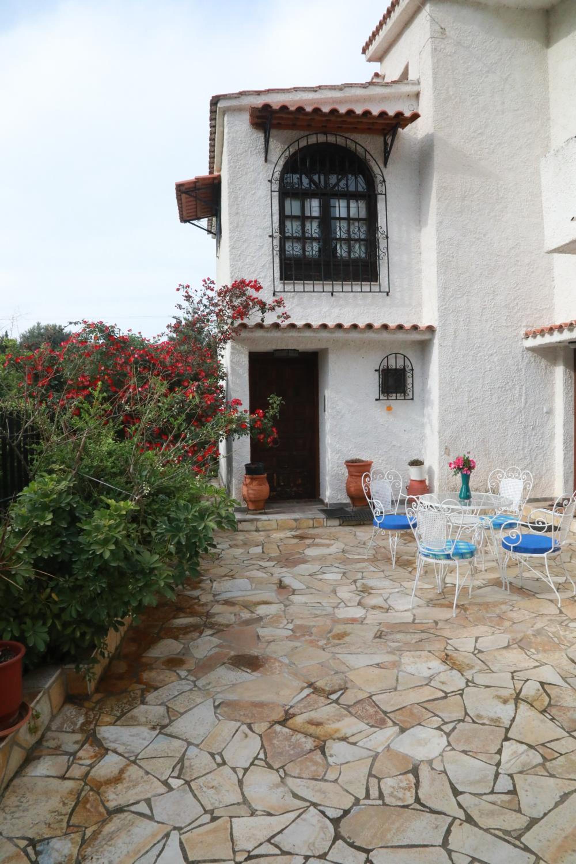 Lemon tree house