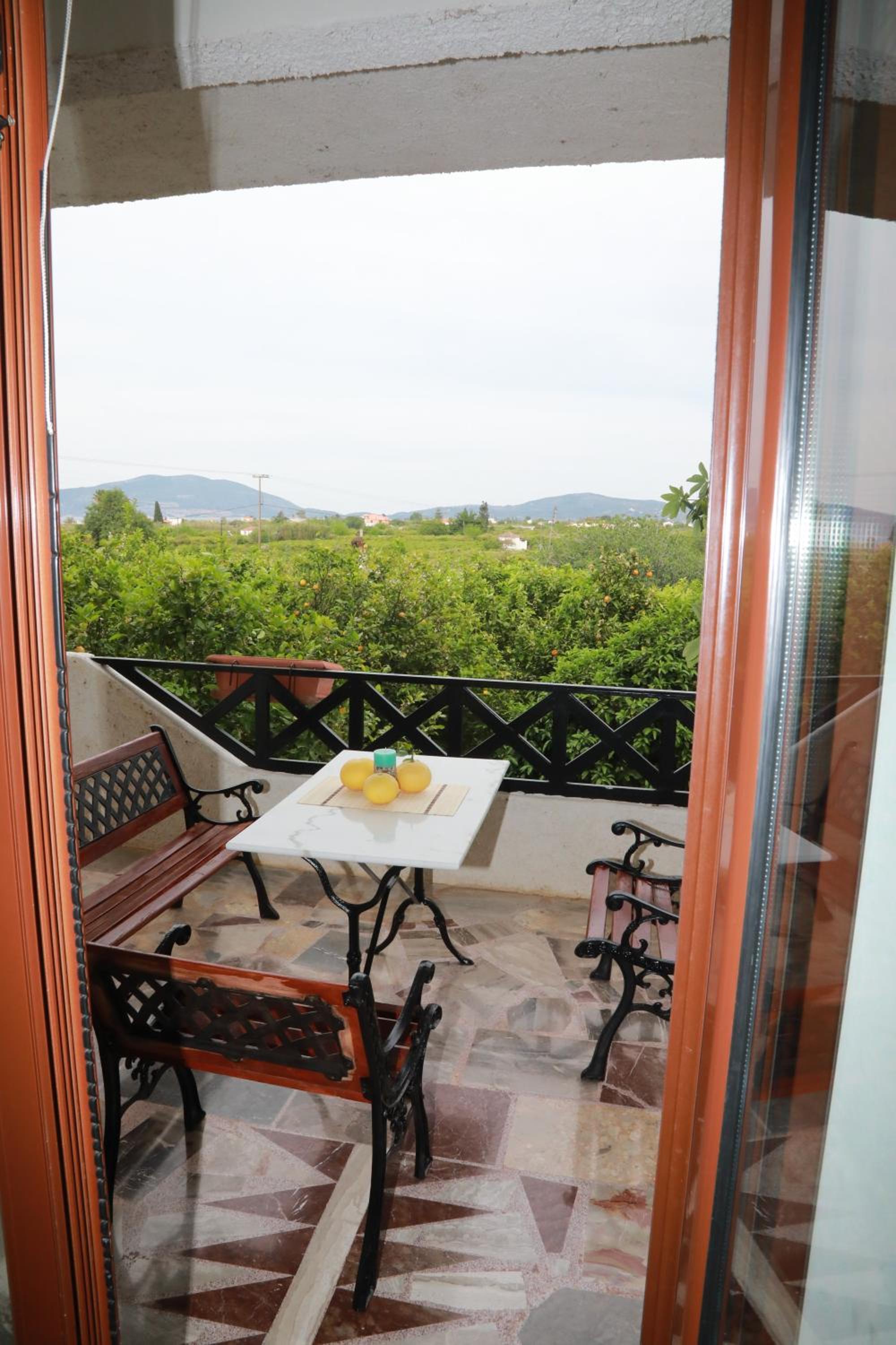 Lemon tree house photo 4