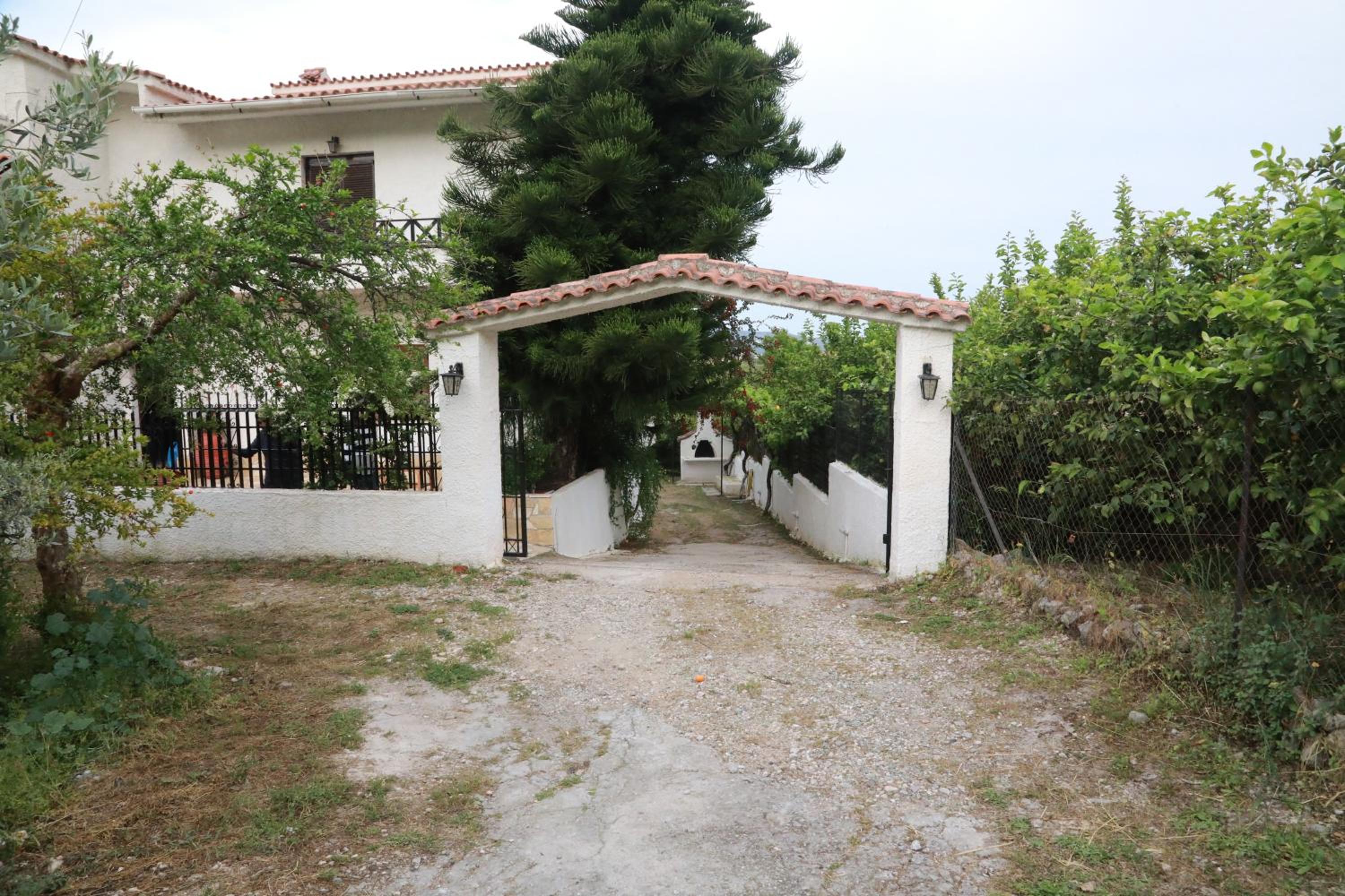 Lemon tree house