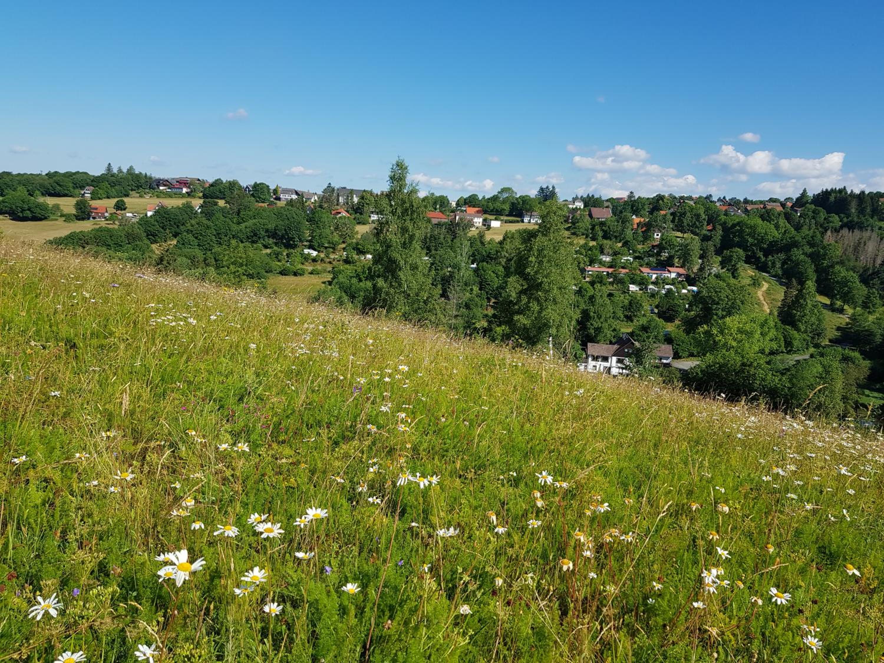 Haus Waldblick