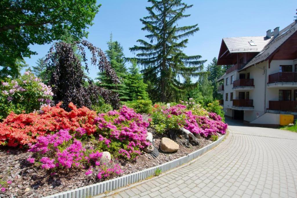 Apartament Polana-Karpacz view 2