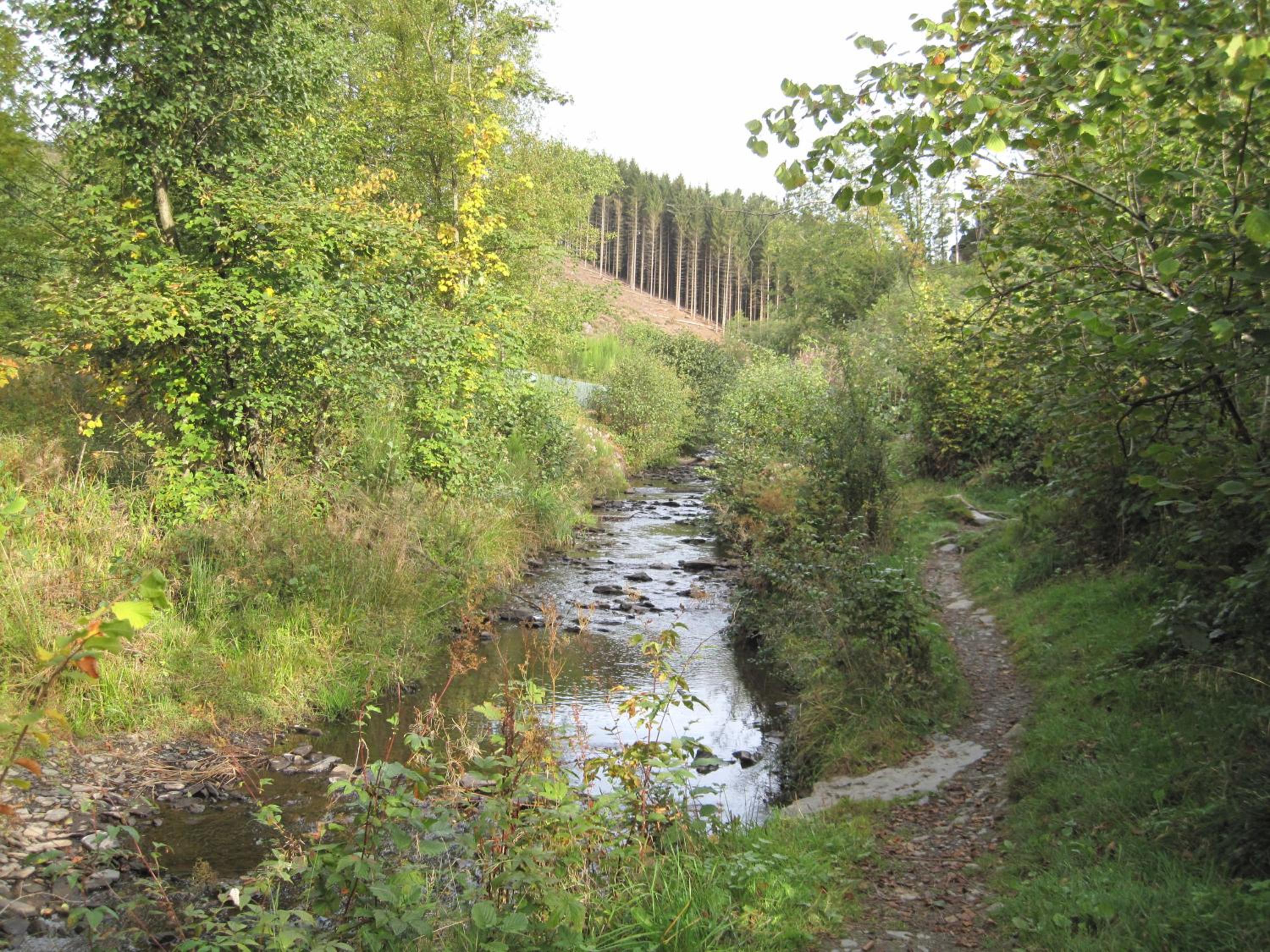 Photo 35
