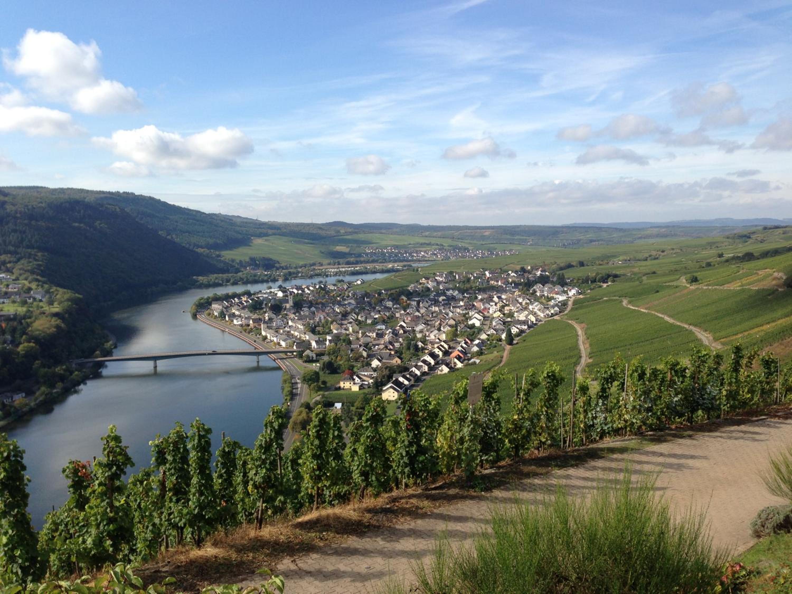 Photo 24