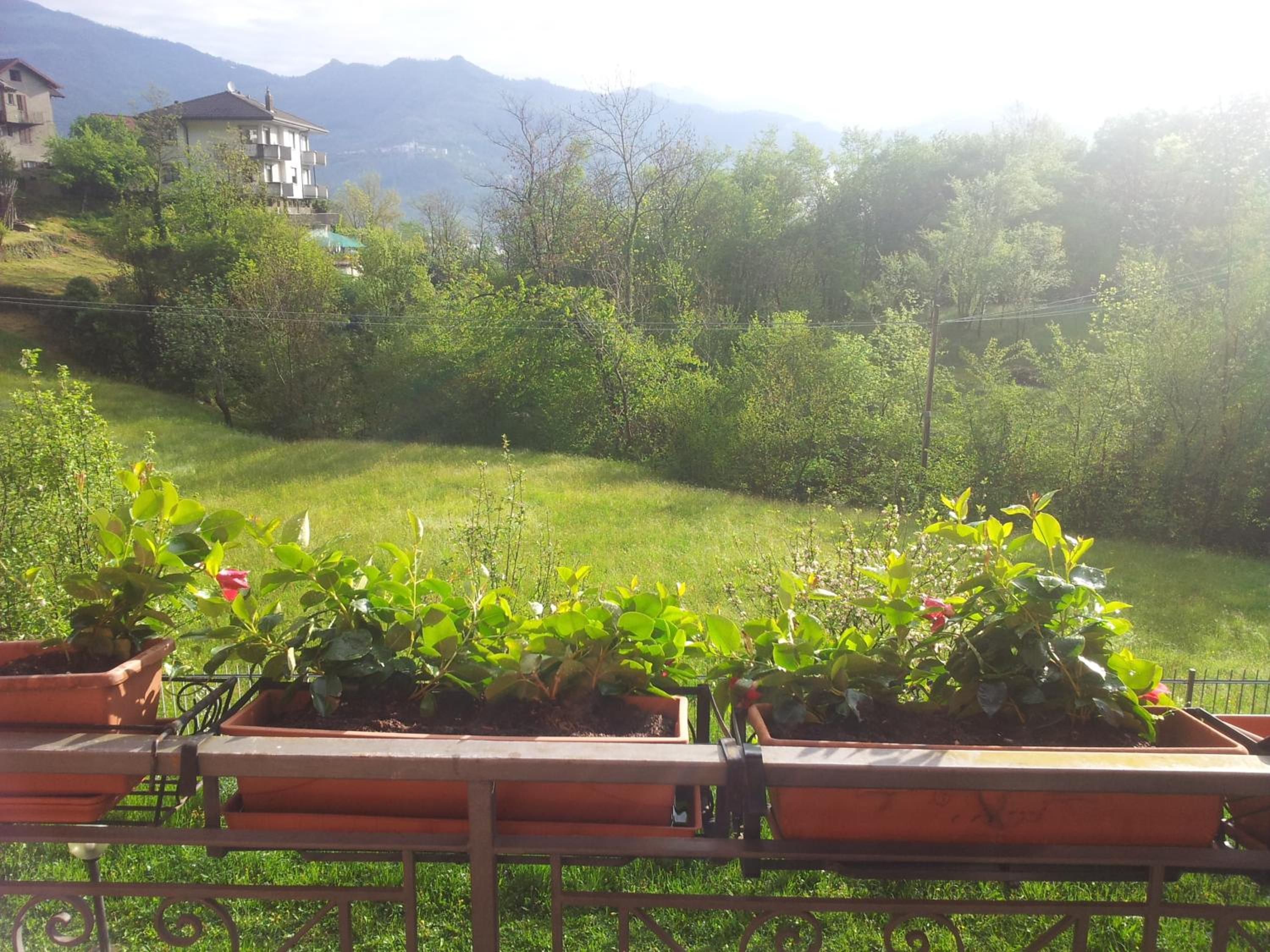 I Tre Ciliegi Apartment view 5