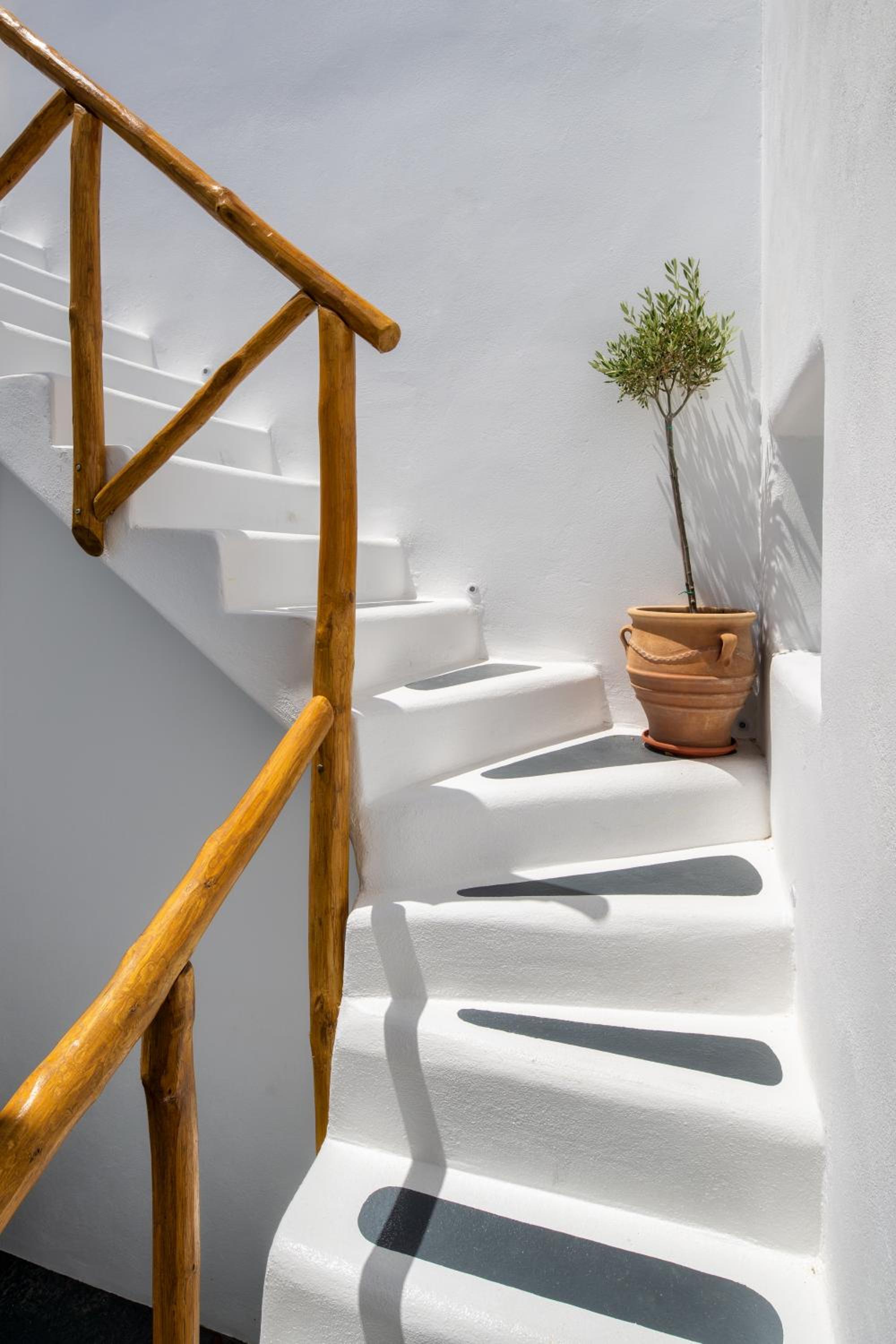 I K I A Since 1980 by Calm Collection photo 5