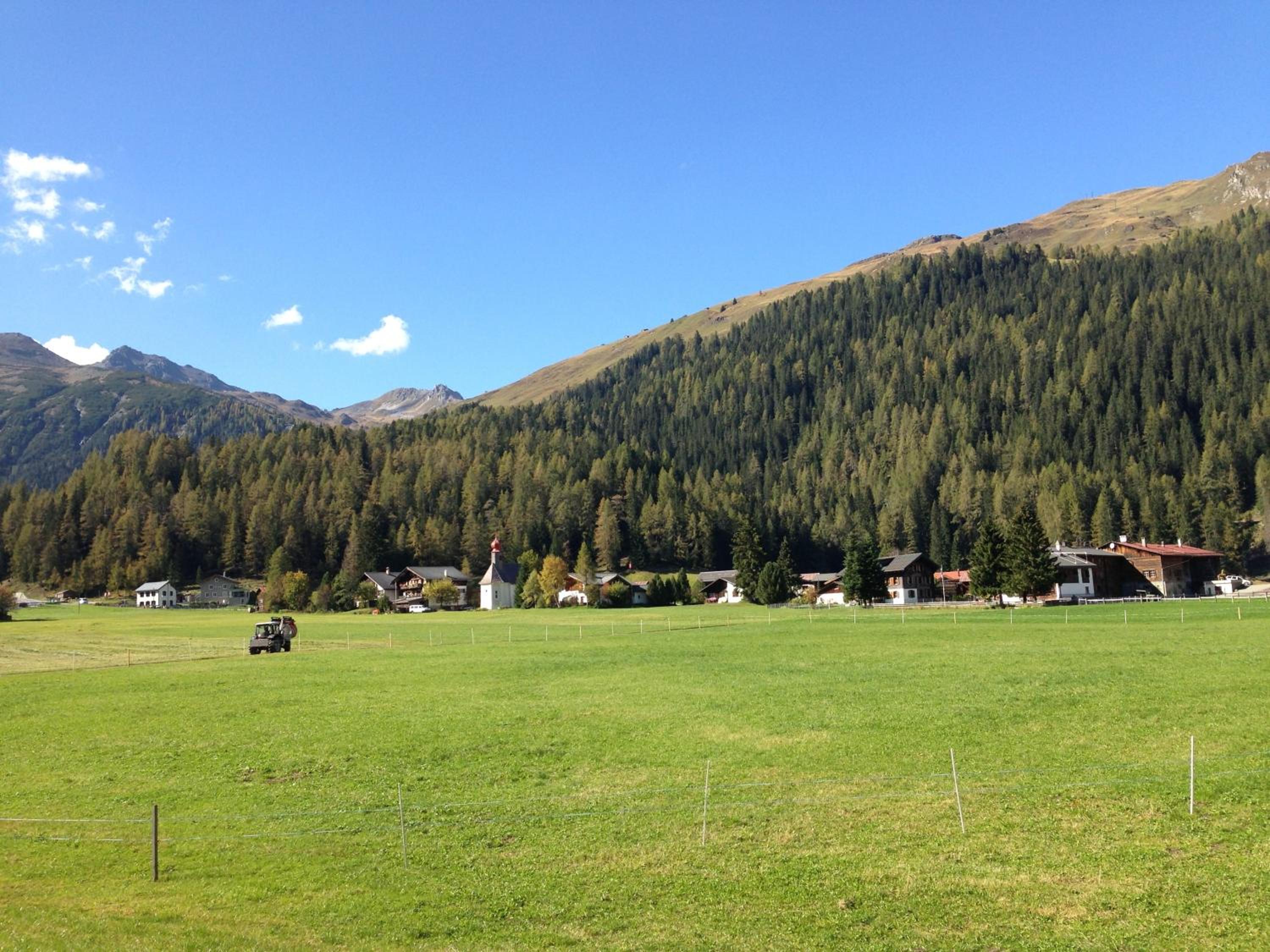 Photo 11