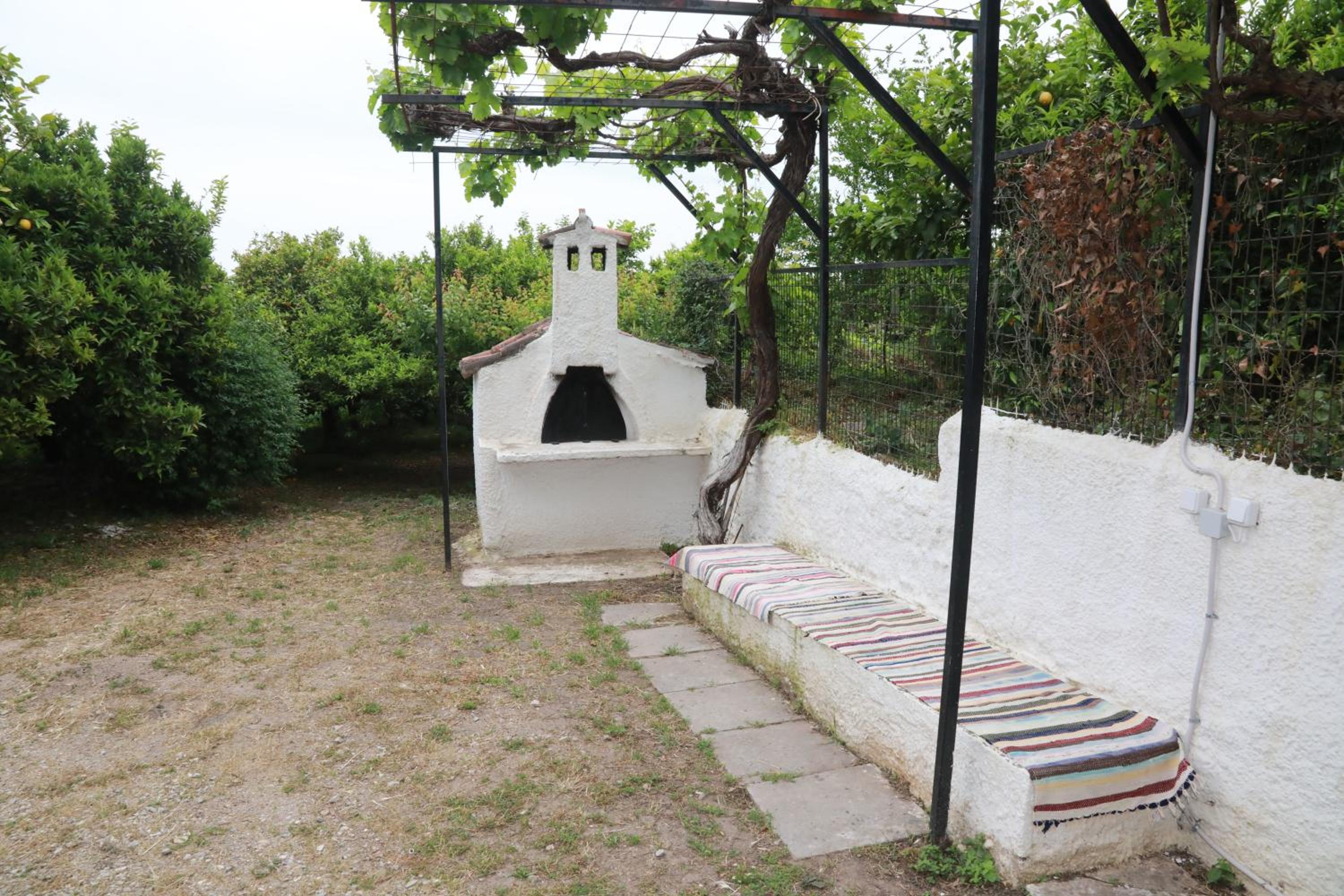 Lemon tree house