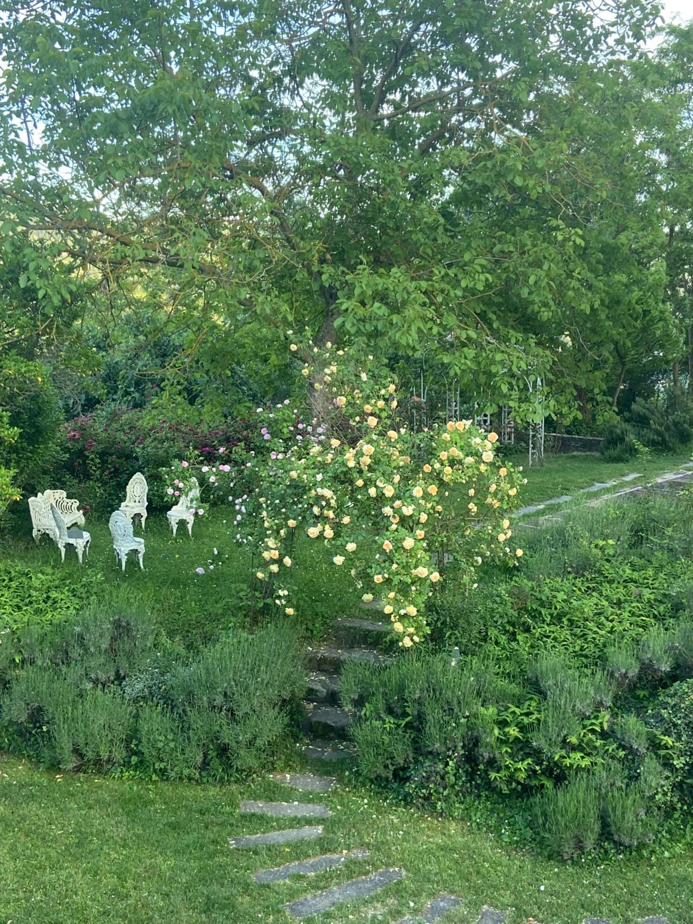 Photo 43